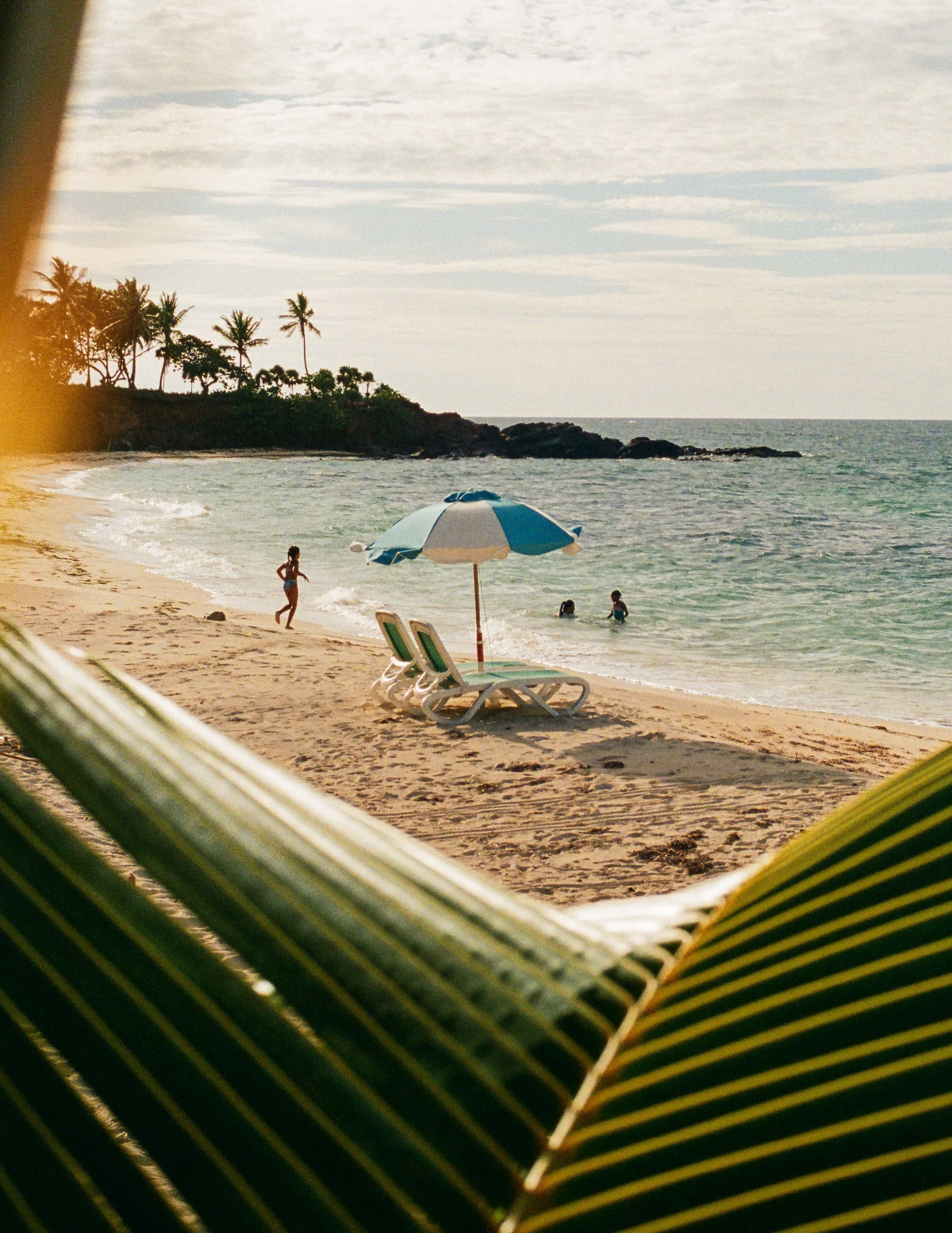 Camp Bay-1.jpg