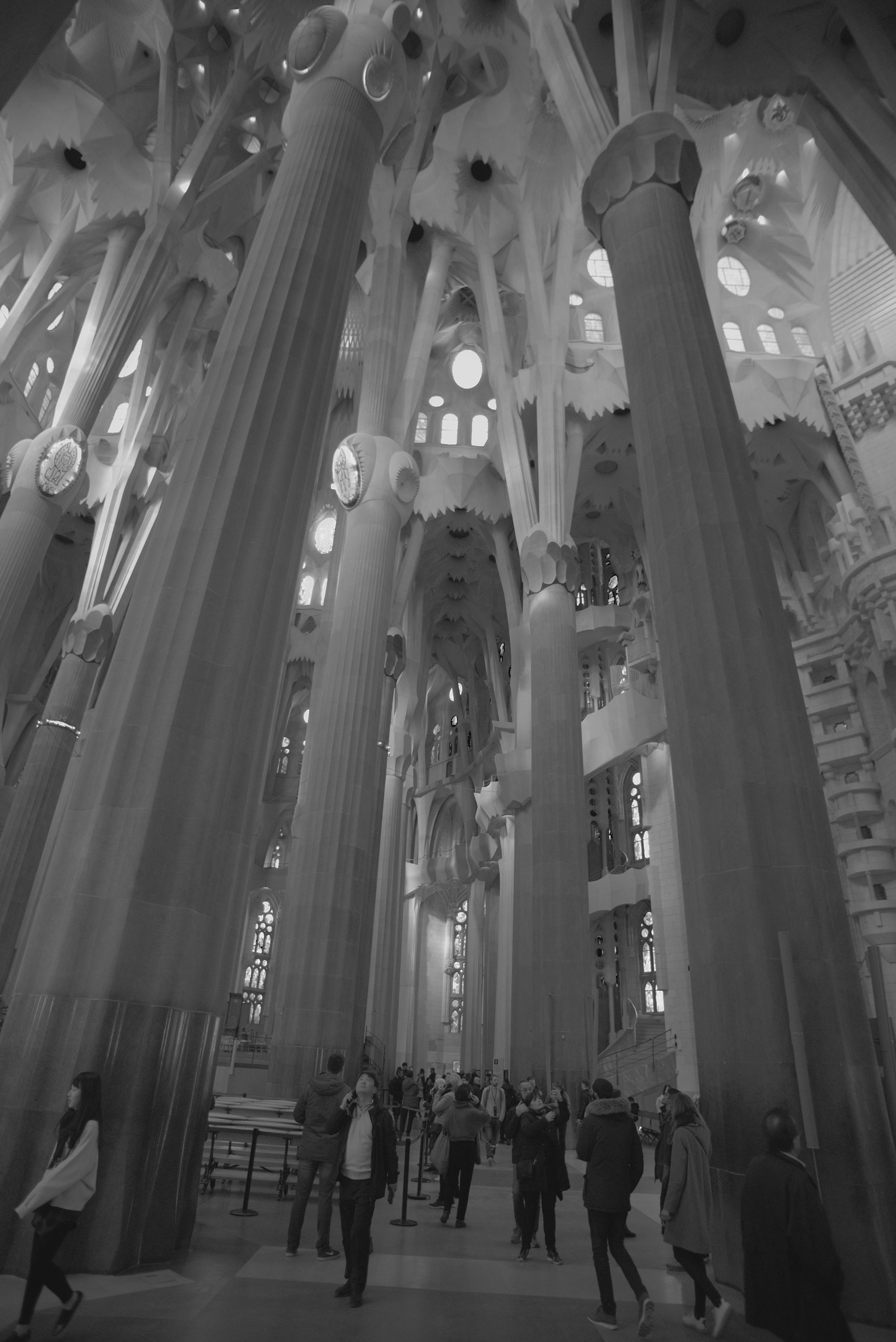 Sagrada Familia, forest interior, Barcelona. 2019