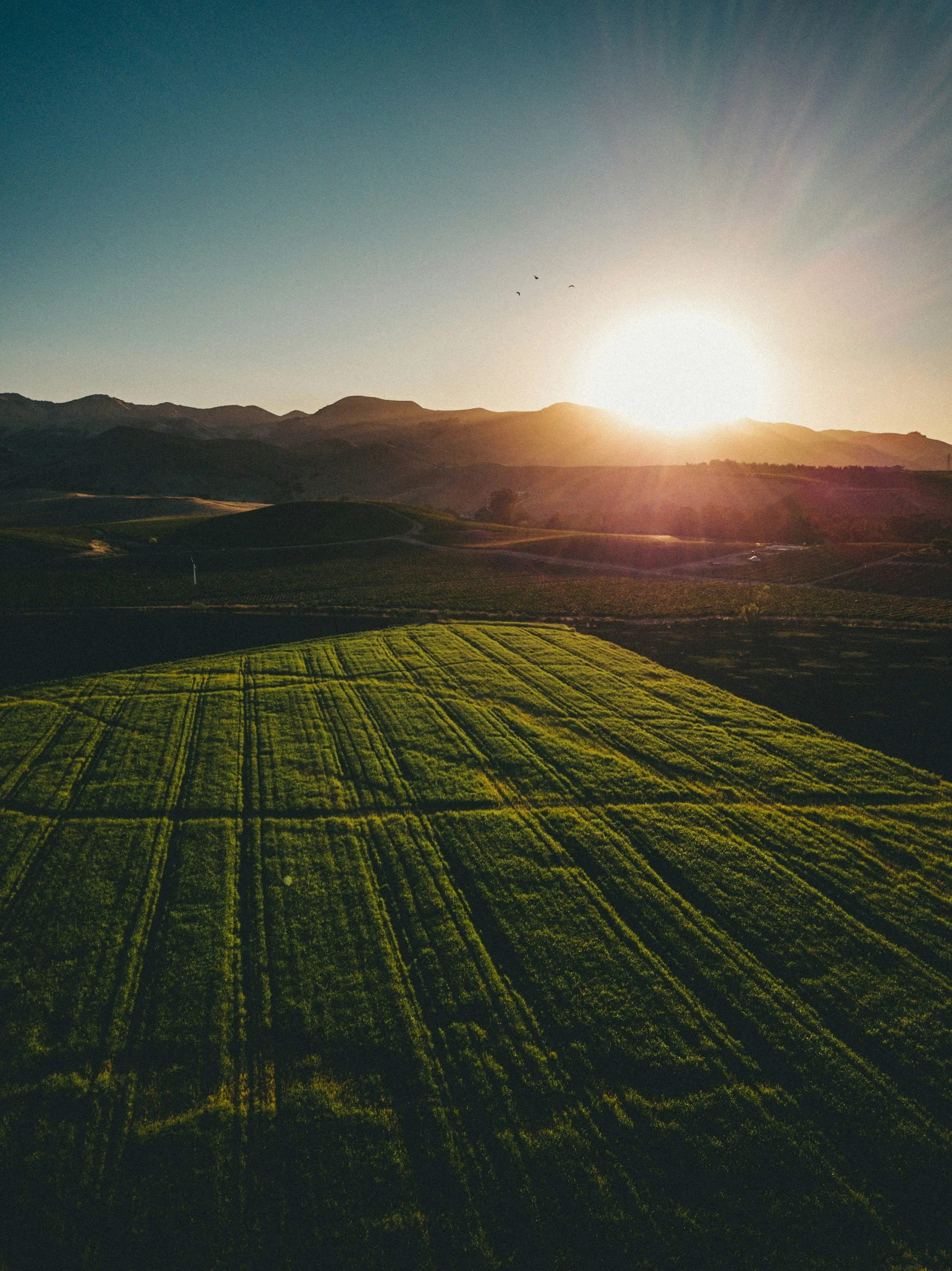 Unfunded Trust Assets in California: What Happens When Property Is Left Out of a Trust?