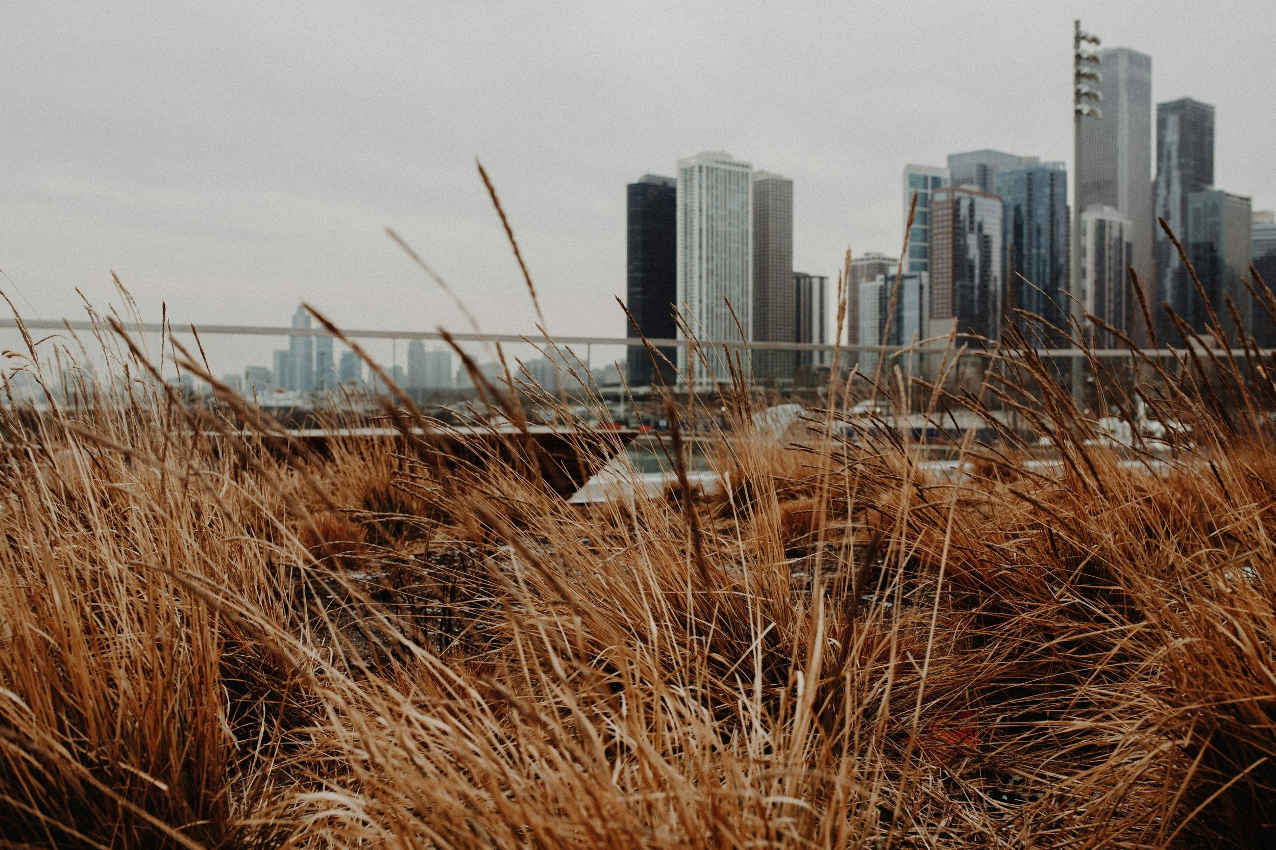 How Courts Determine Intent in a Heggstad Petition