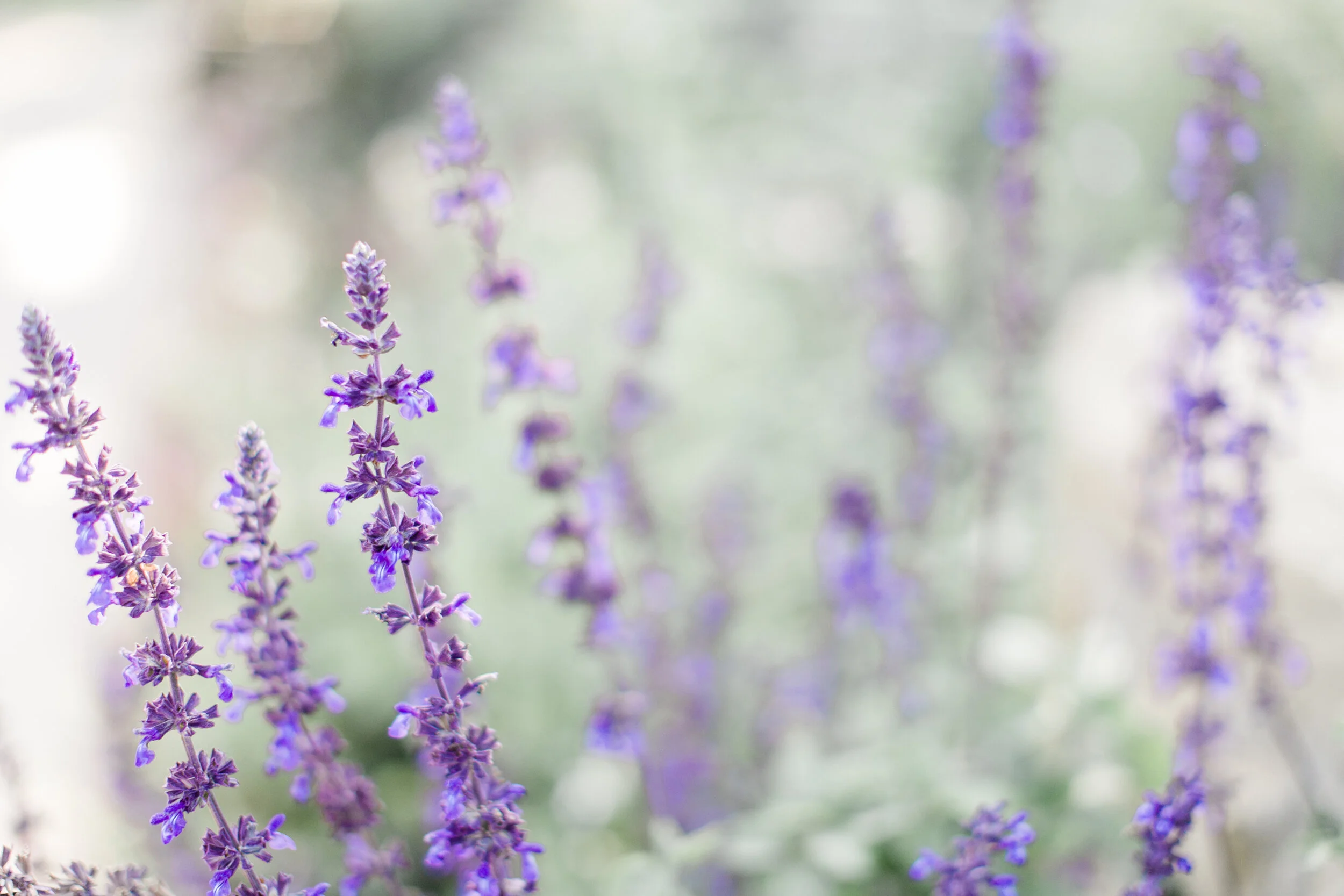 Navigating A Special Journey