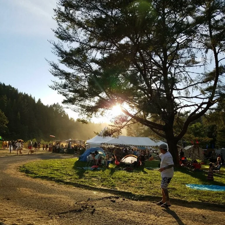 mother earth engineering benbow arts fest 3.JPG