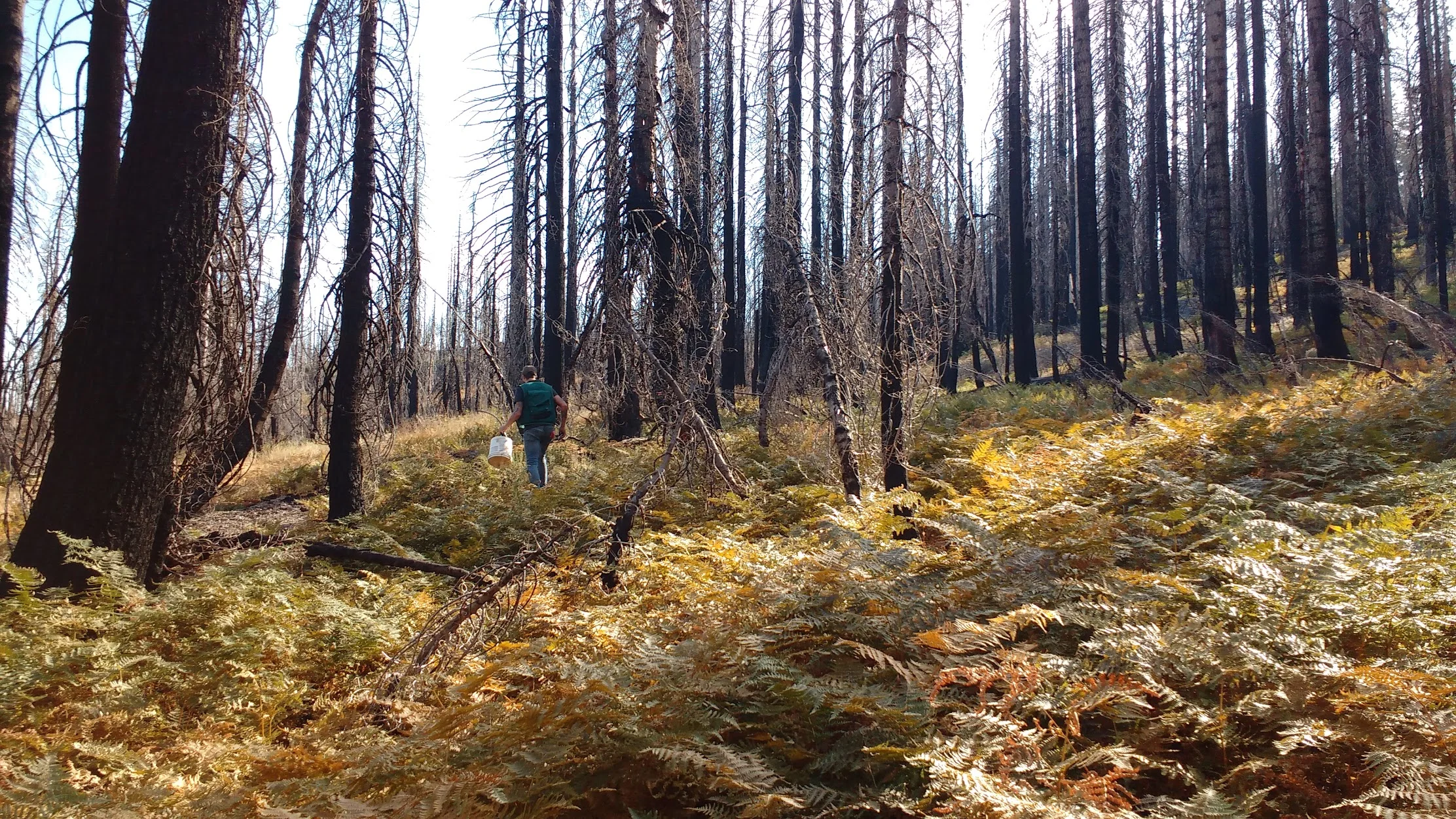 mother earth engineering fieldwork 1.jpg