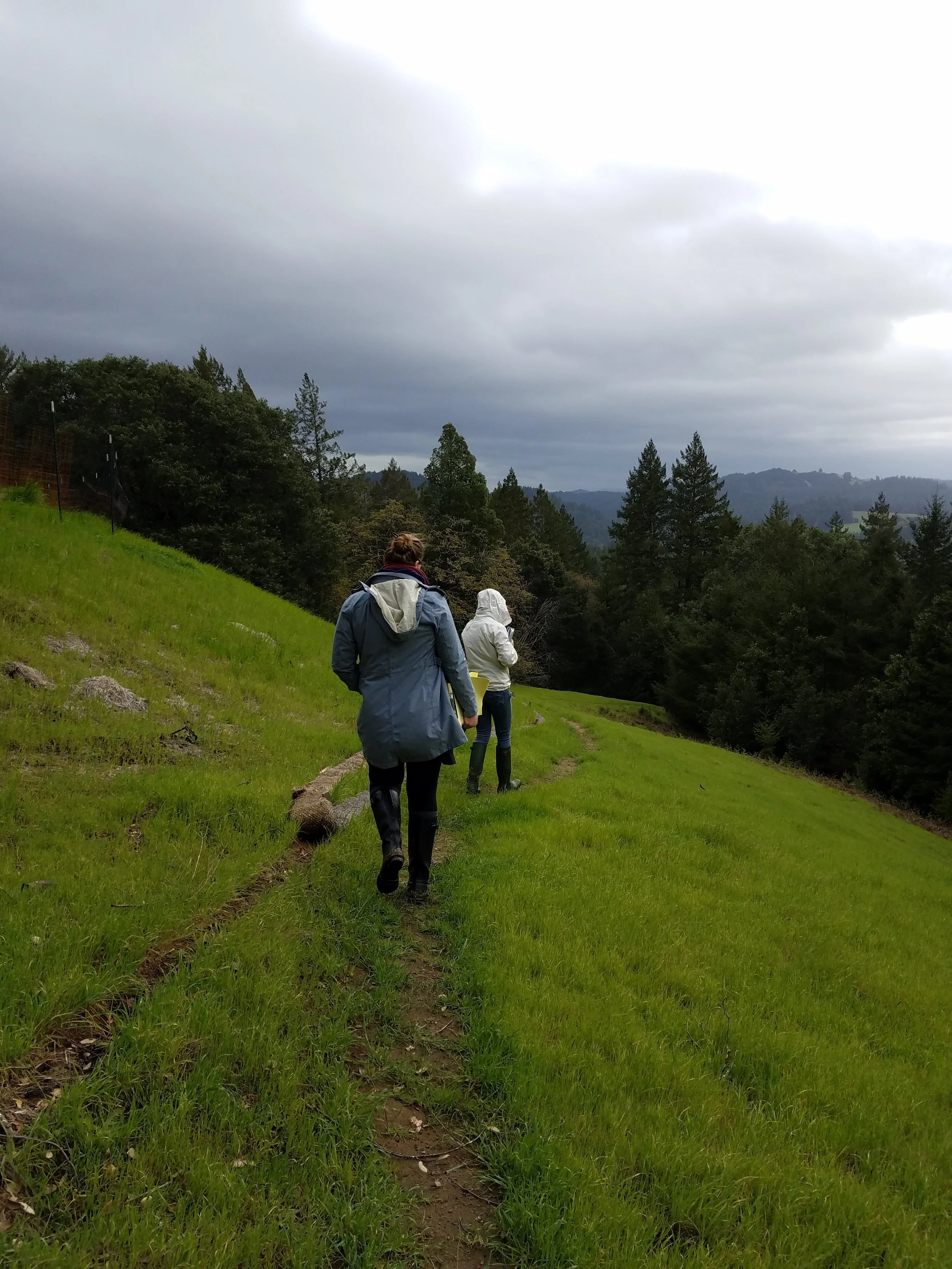 mother earth engineering fieldwork 2.jpg