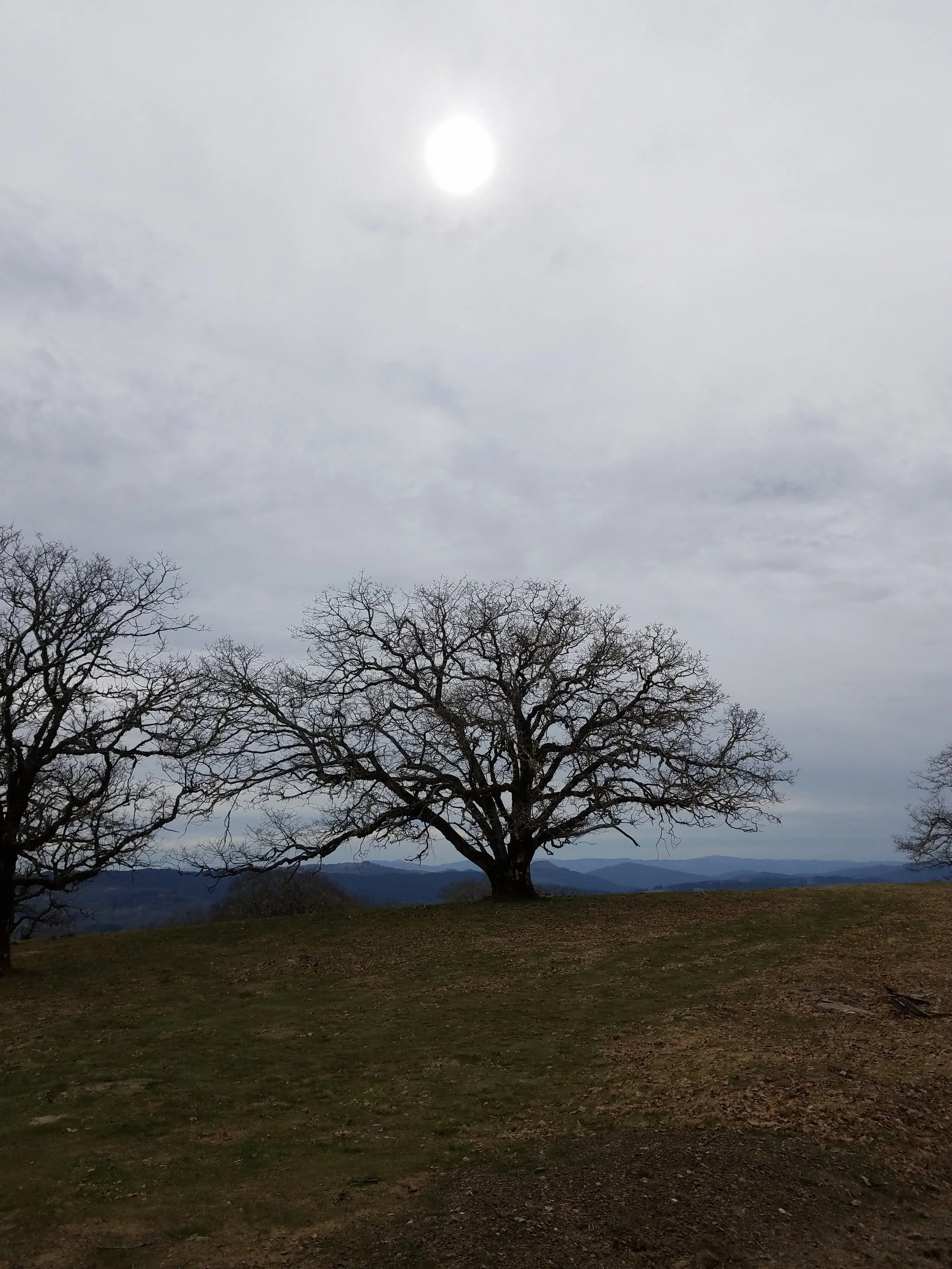 mother earth engineering fieldwork 1-2.jpg