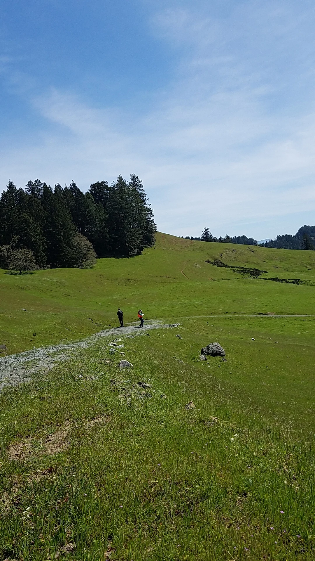 mother earth engineering fieldwork 4.jpg