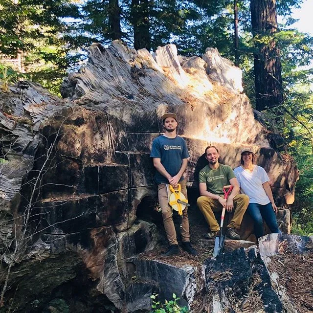 Fieldwork today in an awesome spot in Freshwater. Ancient redwood tree burl onsite that was at least 16 feet across. 
Flashback to 1,000 years ago. Humboldt loggers in the early days with a redwood of almost the same diameter. 🌲🕰
.
.
#pastmeetspres