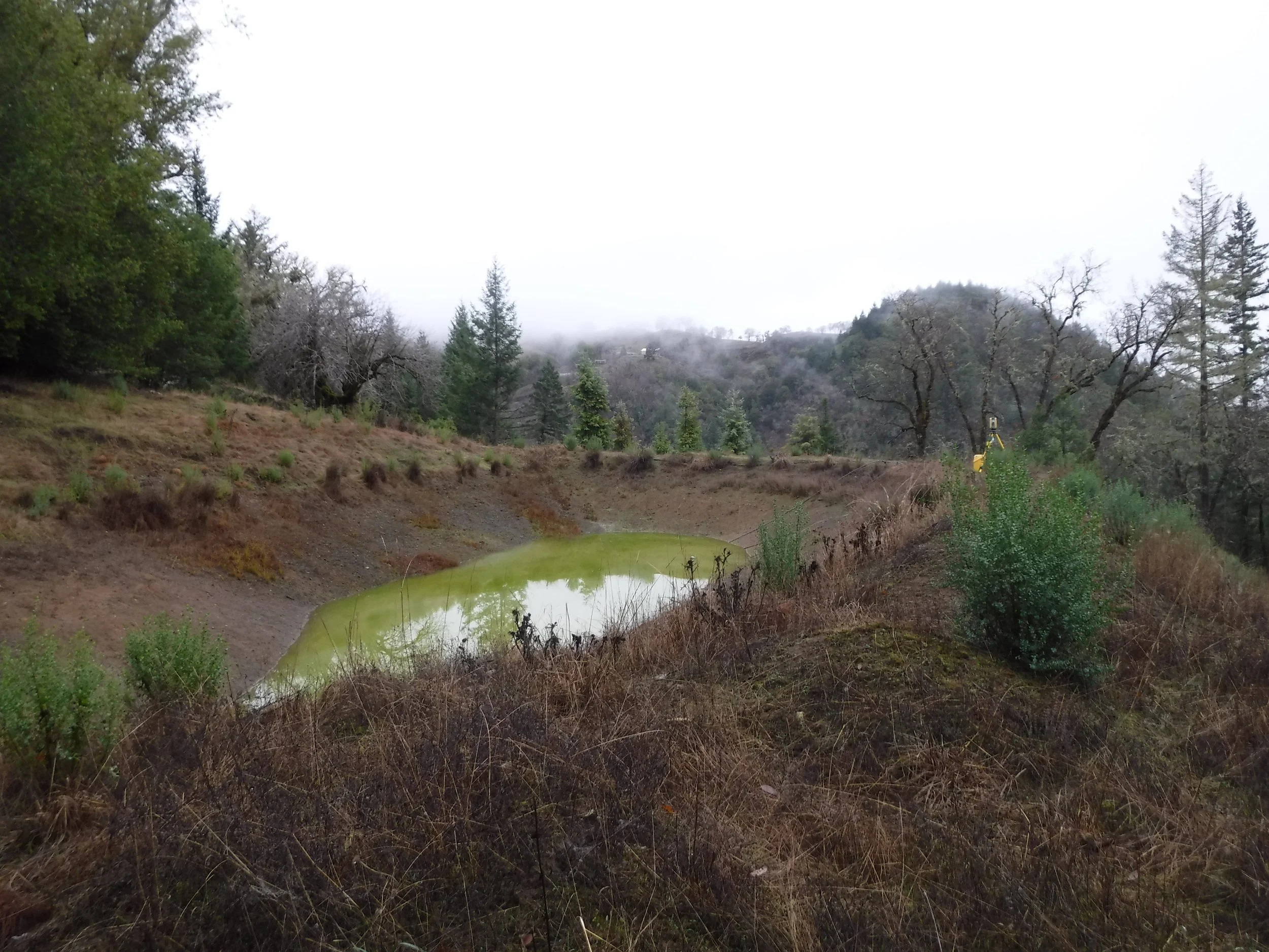Walter pond for website.JPG