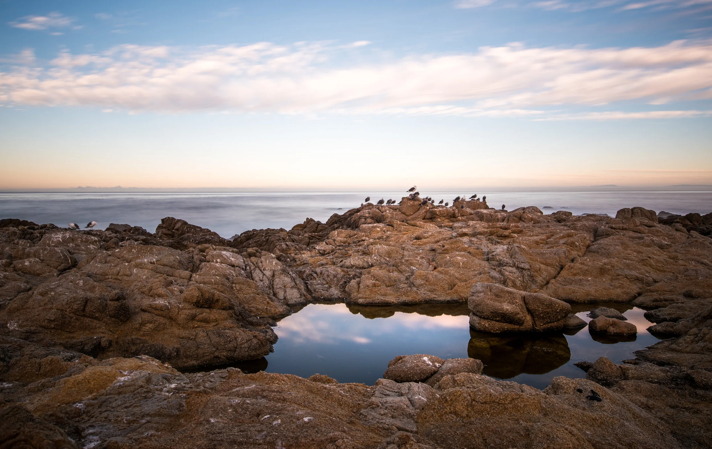 Puddle Reflection_Pacific Grove_11-12-17.jpg