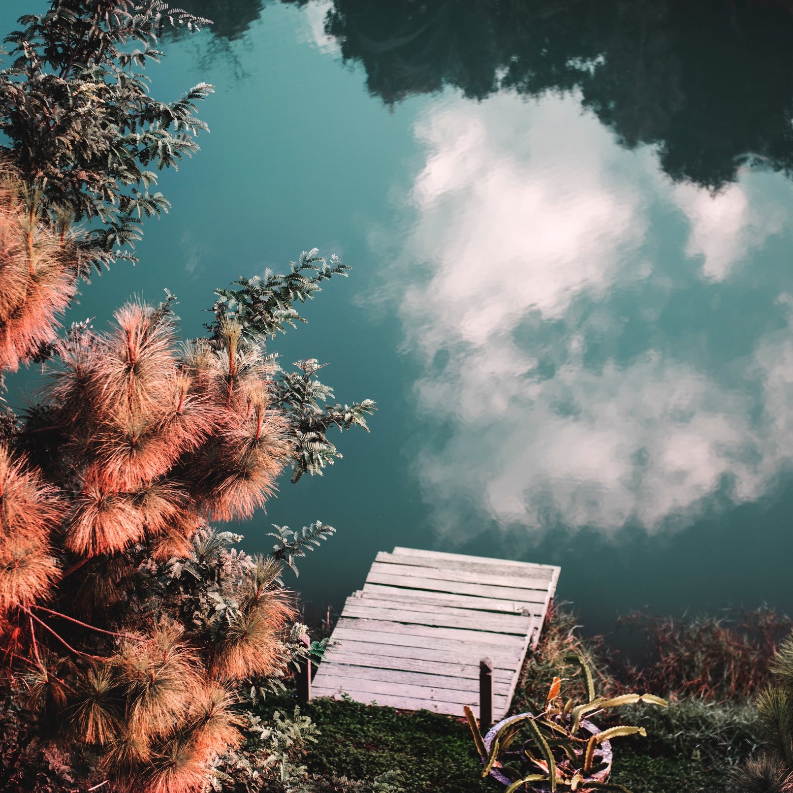 calm-clouds-daylight-326037.jpg