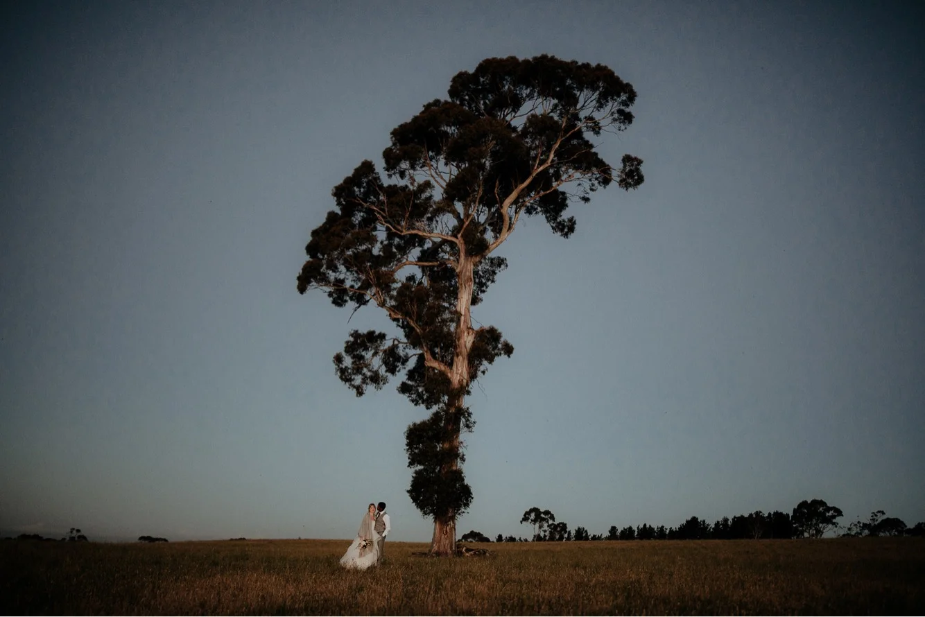 Reece and Penny- big tree.jpg