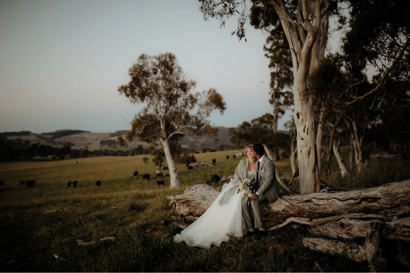 Reece and Penny- sitting on log.jpg