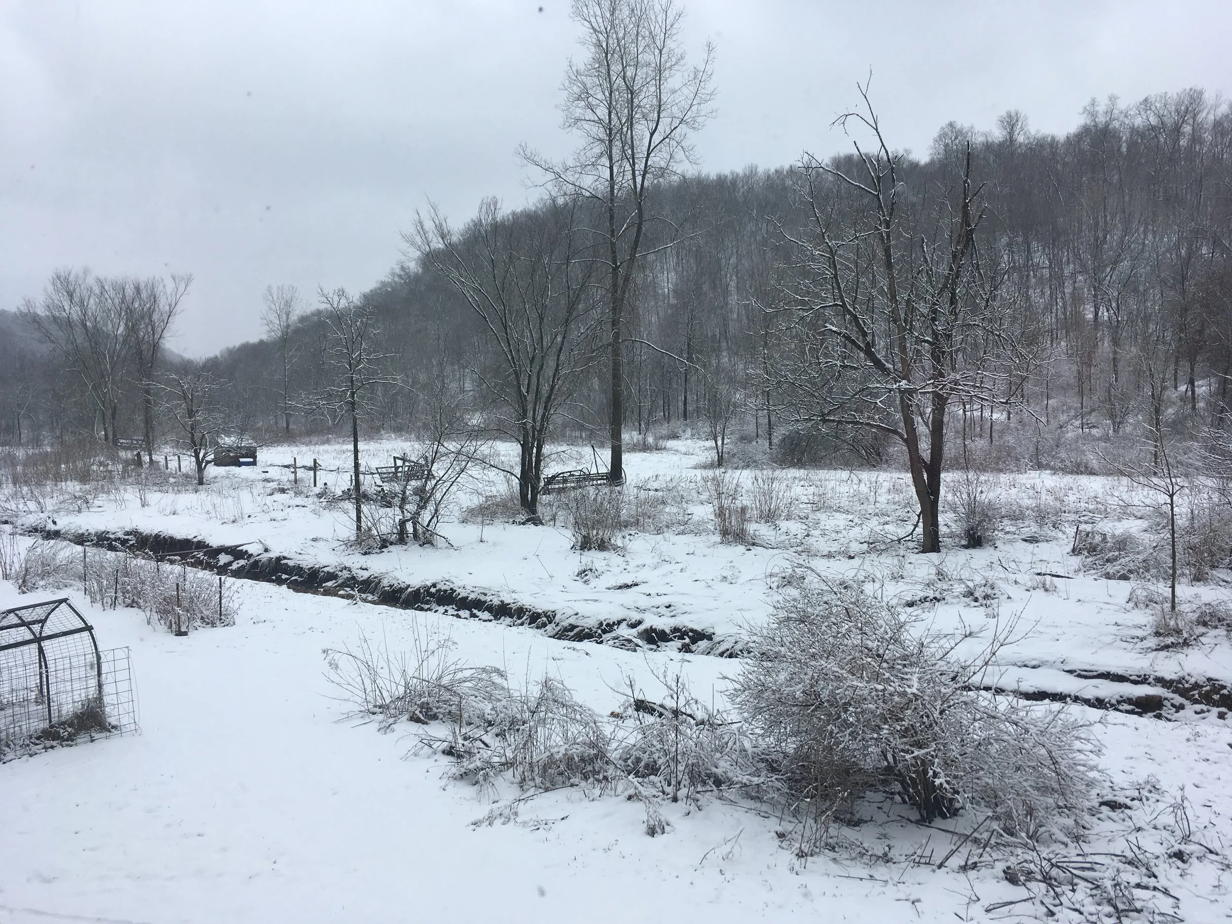 A view from my new window