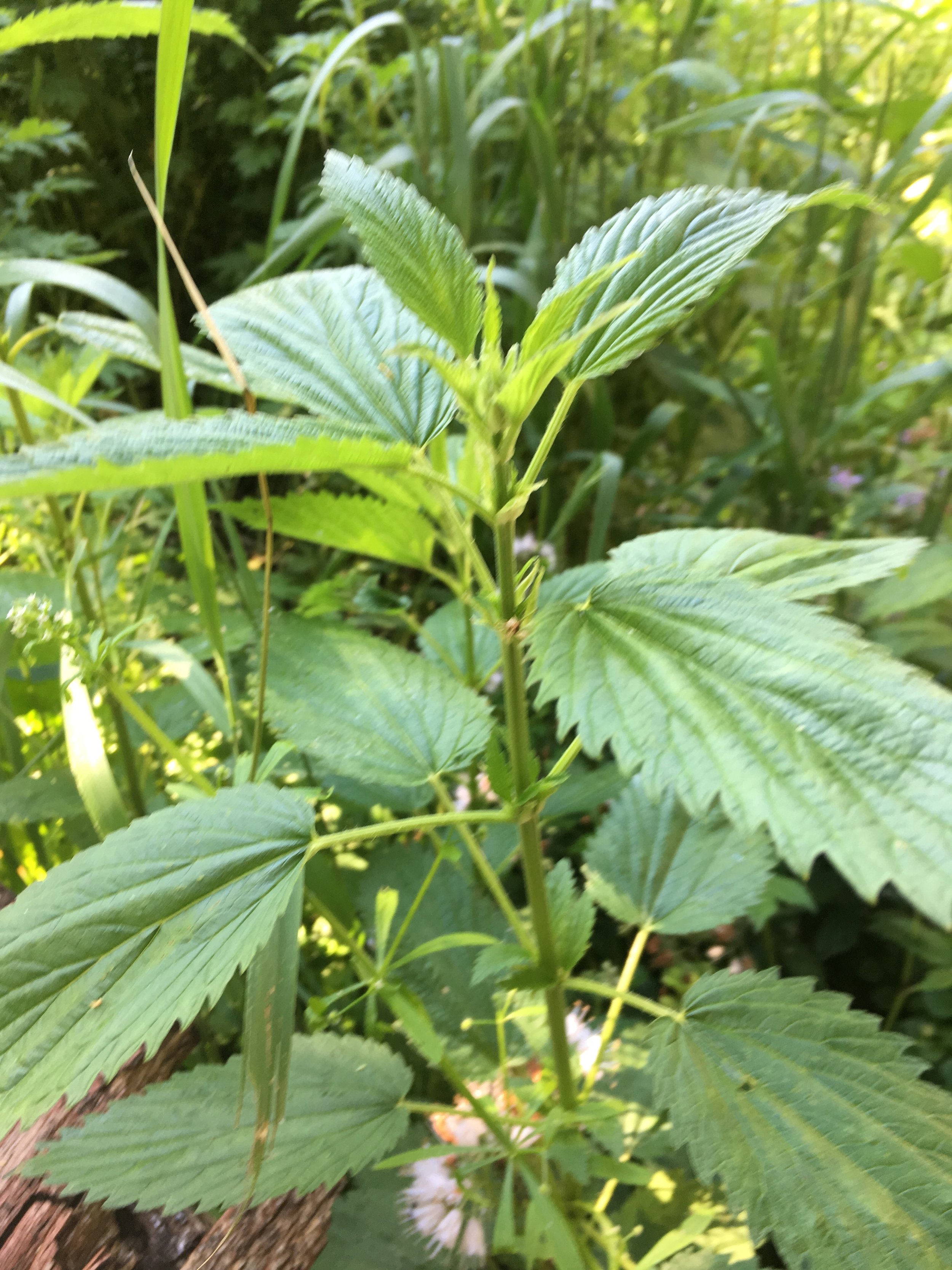 Respect (Look again)