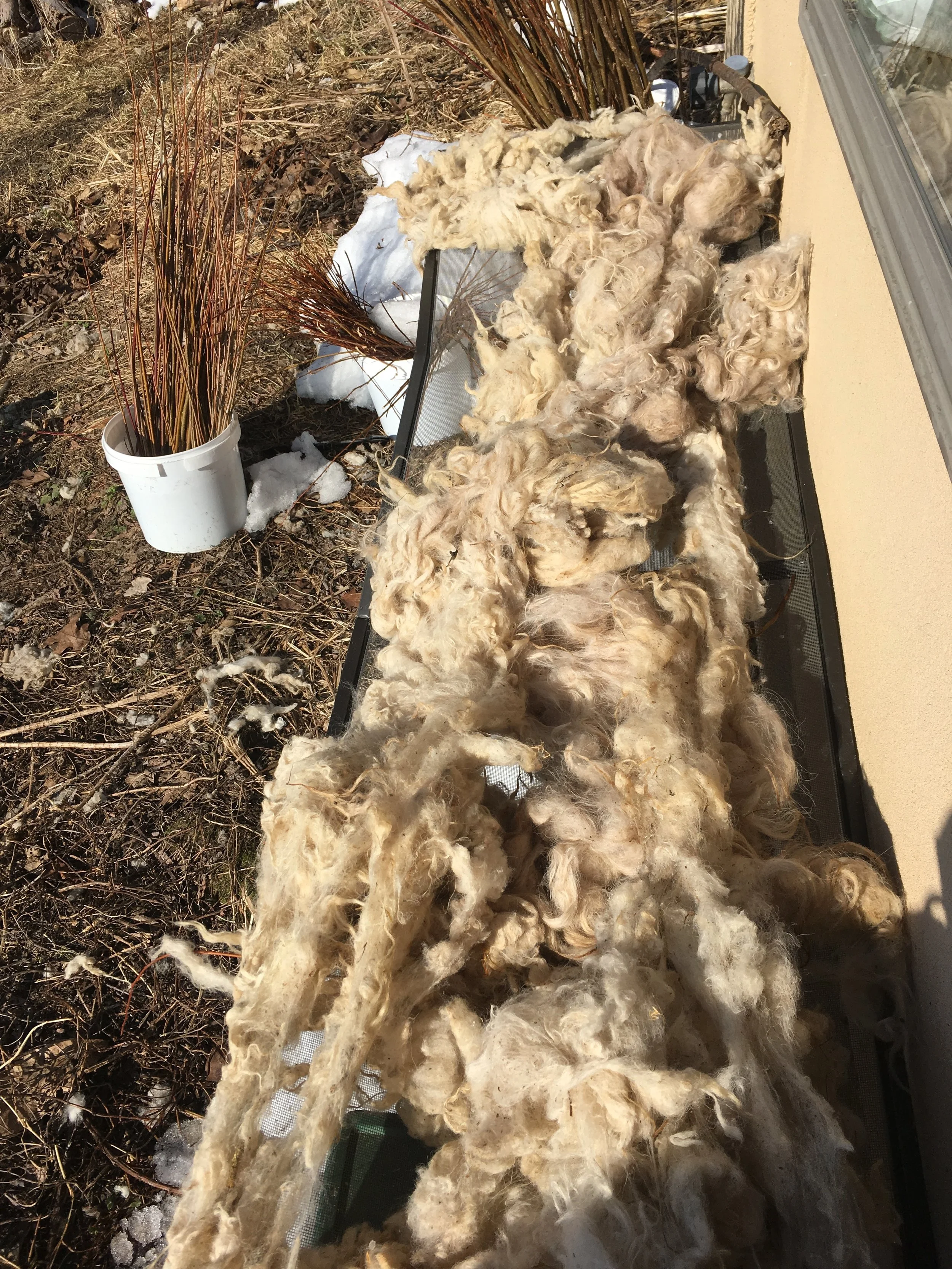 From Fleece to Fabric