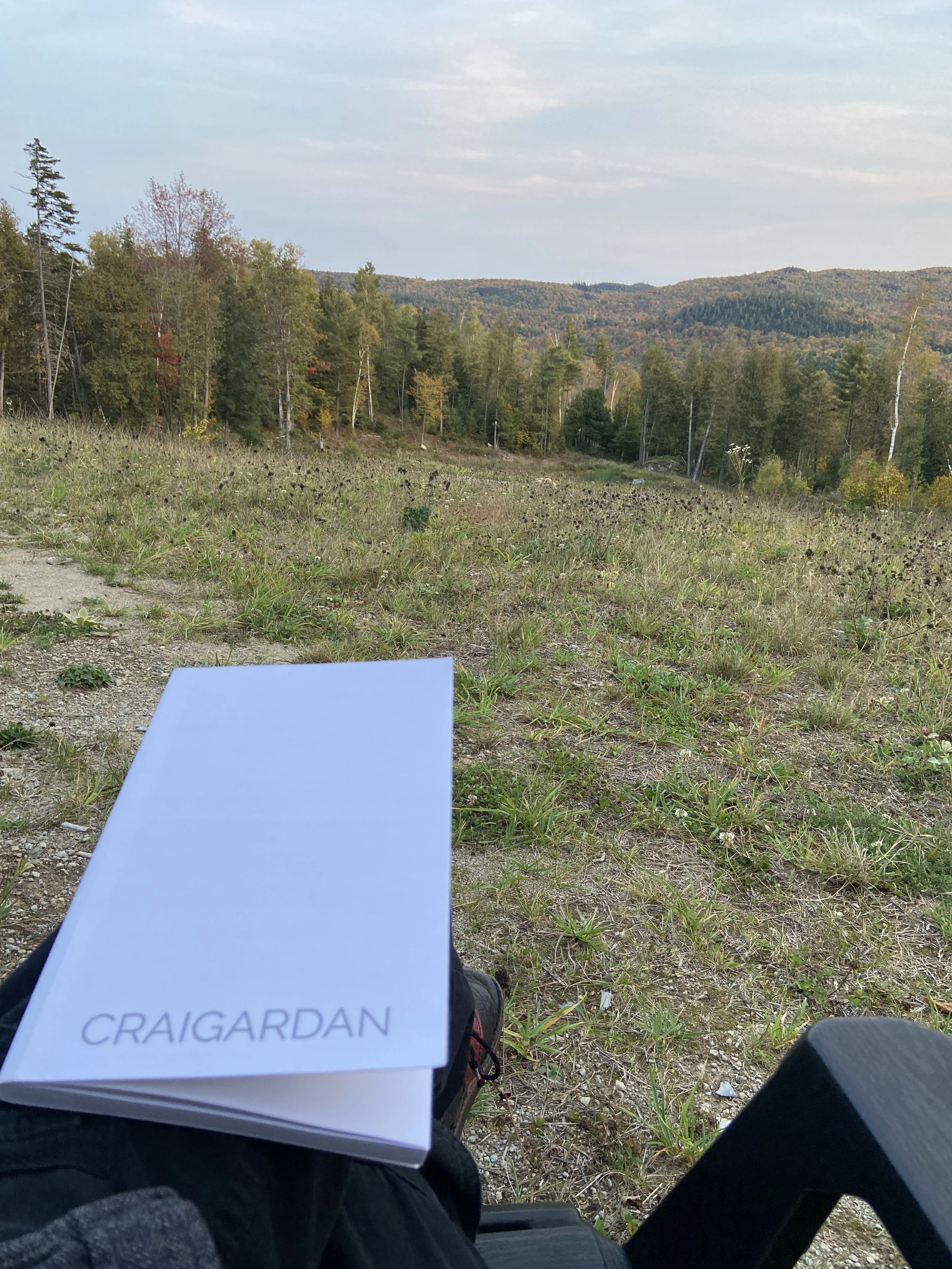 Not the art I wanted, But the Art I needed. 