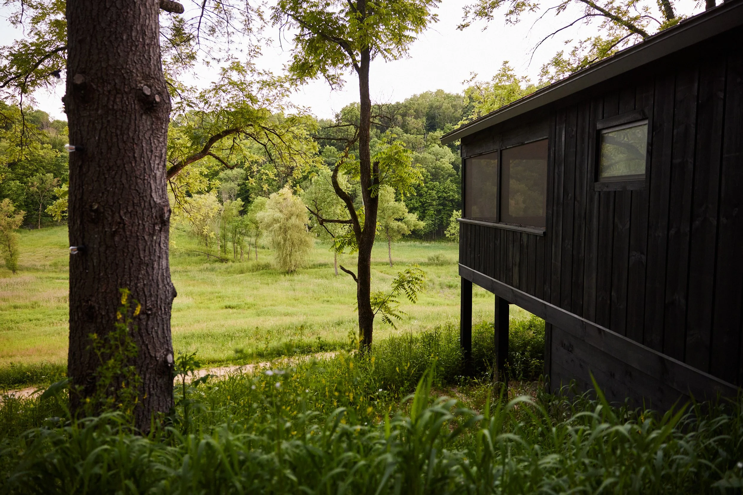 view from cabin area.jpg