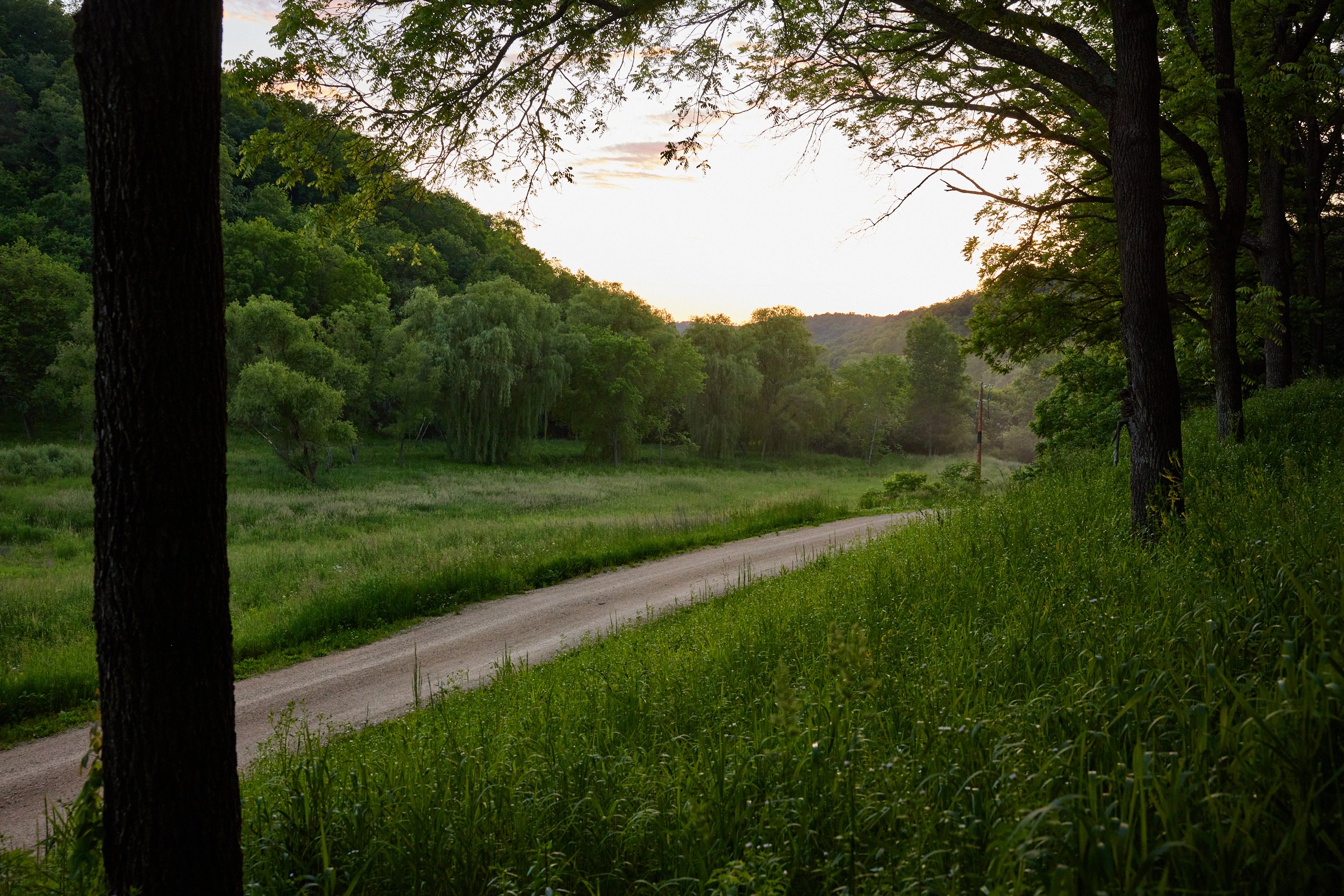 red clover driveway.jpg