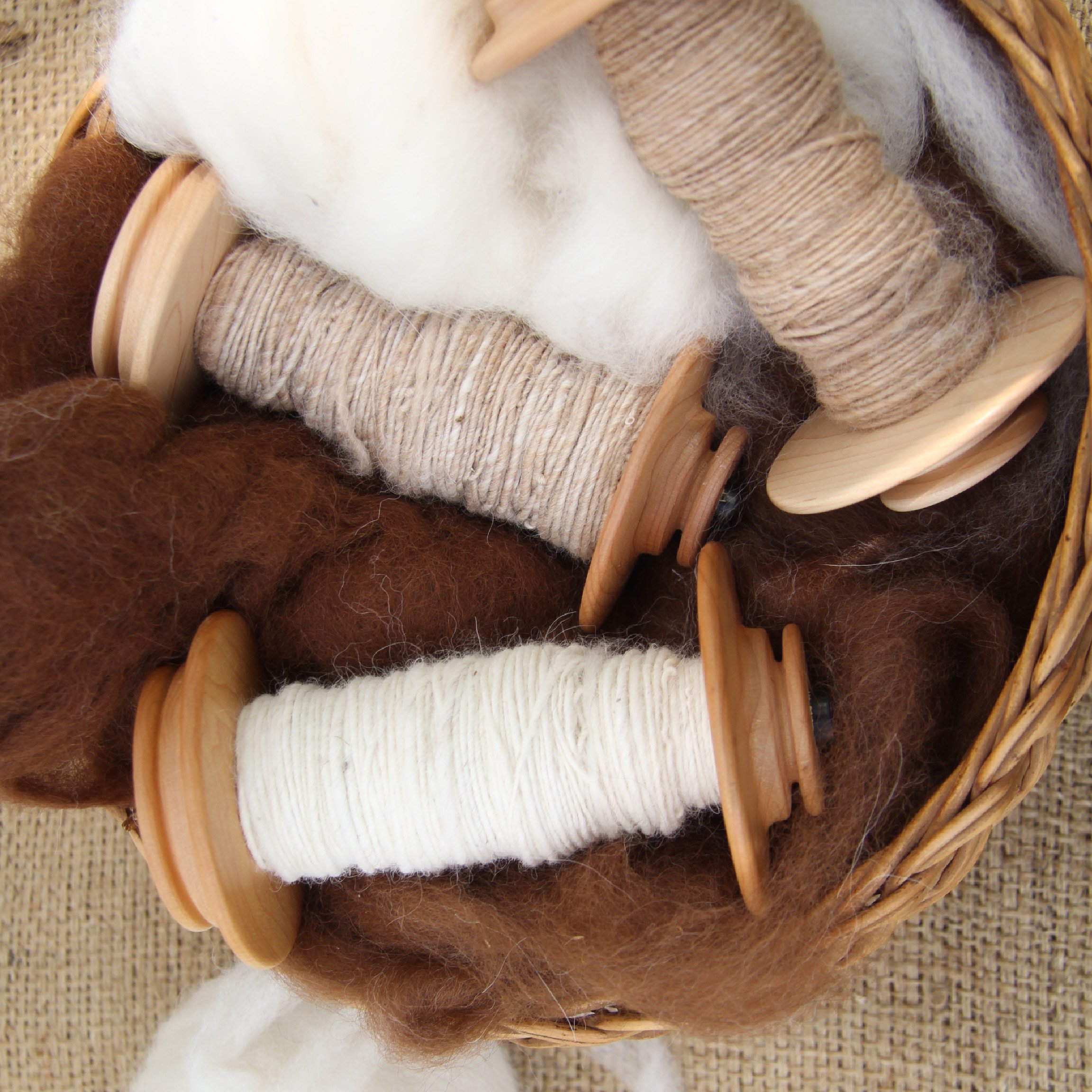 Handspun Yarn, Chocolate Color, Natural Fleece, Jacob Wool, Bulky