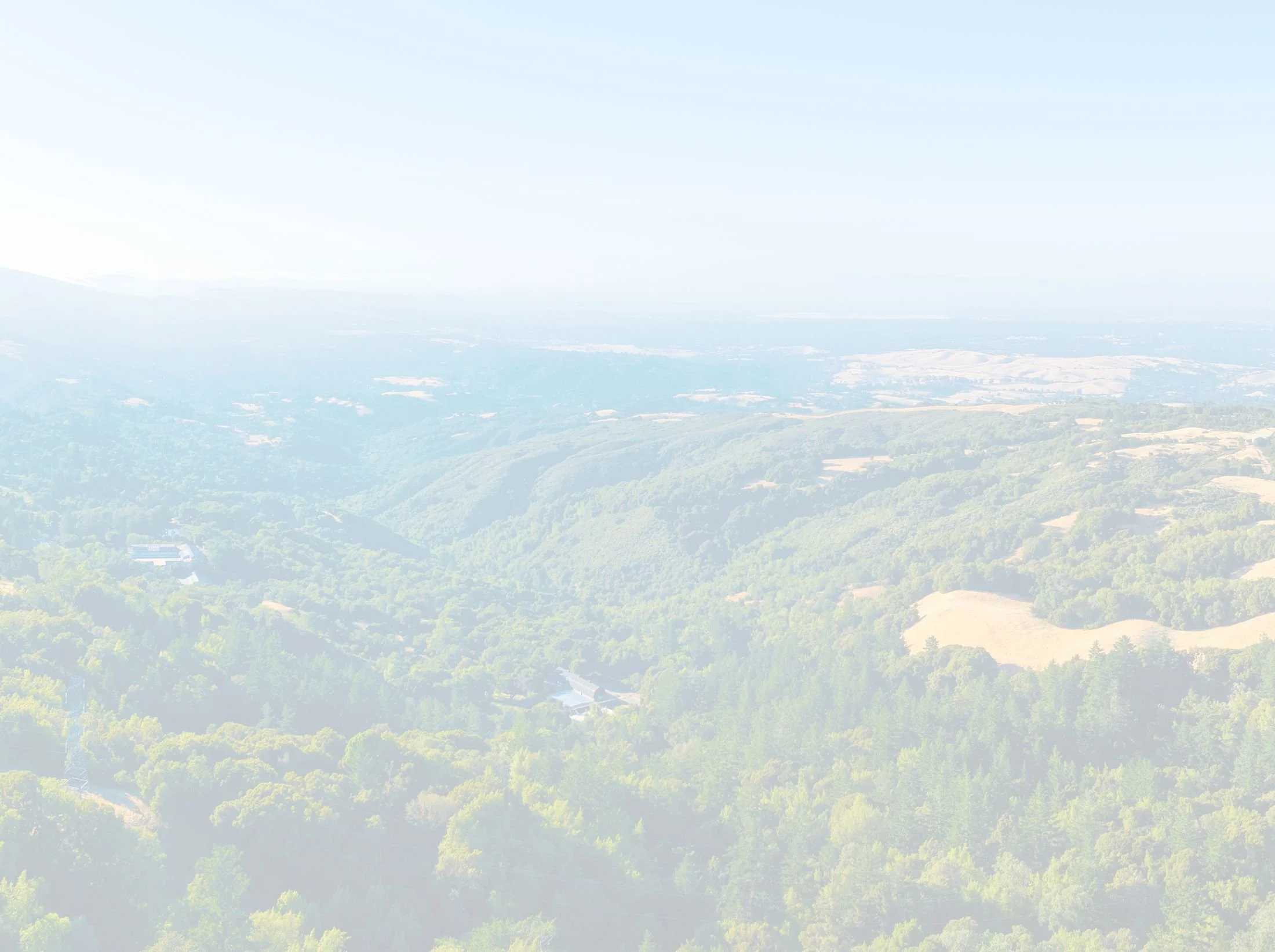 TJD_HeaderOptions_edit-2.jpg