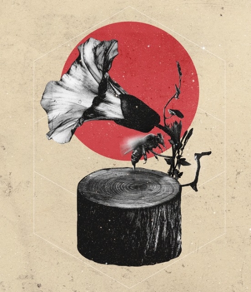 Art by Ali Gulec