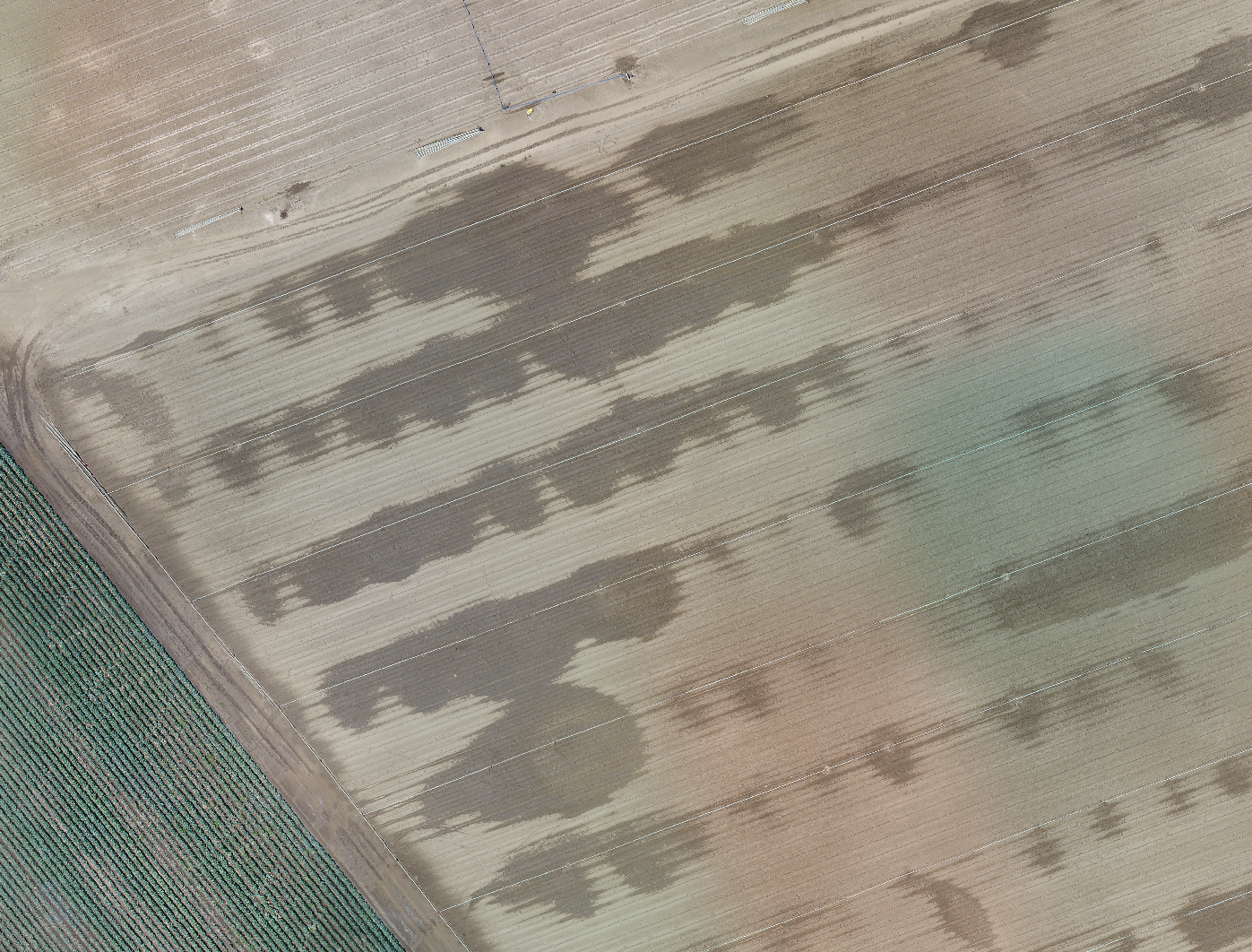 Aerial images revealing irrigation patterns.