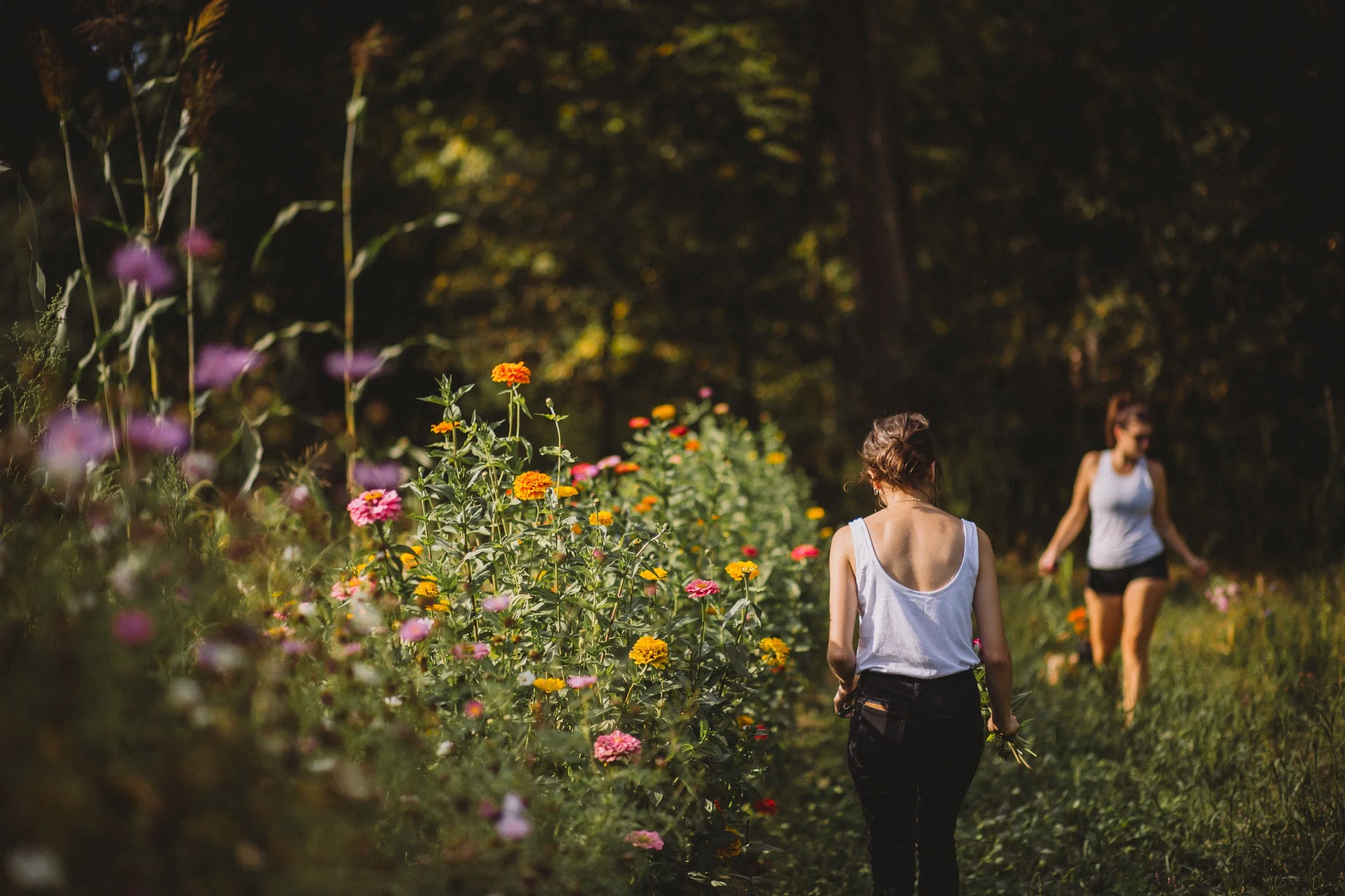 Women picking flowers in fields near Cleveland, Ohio - Photography by Tiffany Joy