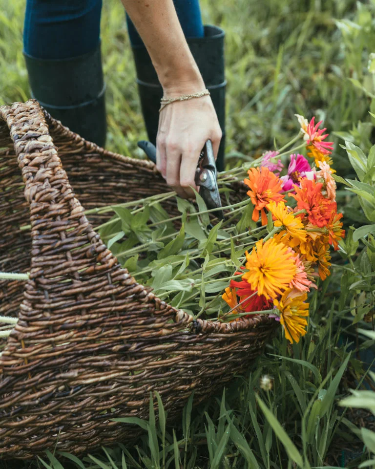 Gathering flowers - Photography by Christine Higgs for Arhaus The Blog