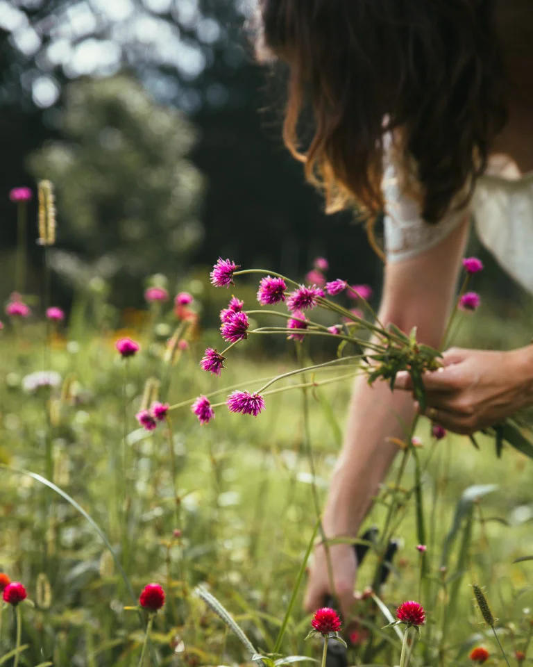 Megh cuts flowers in her field near Cleveland, Ohio - Photography by Christine Higgs for Arhaus The Blog