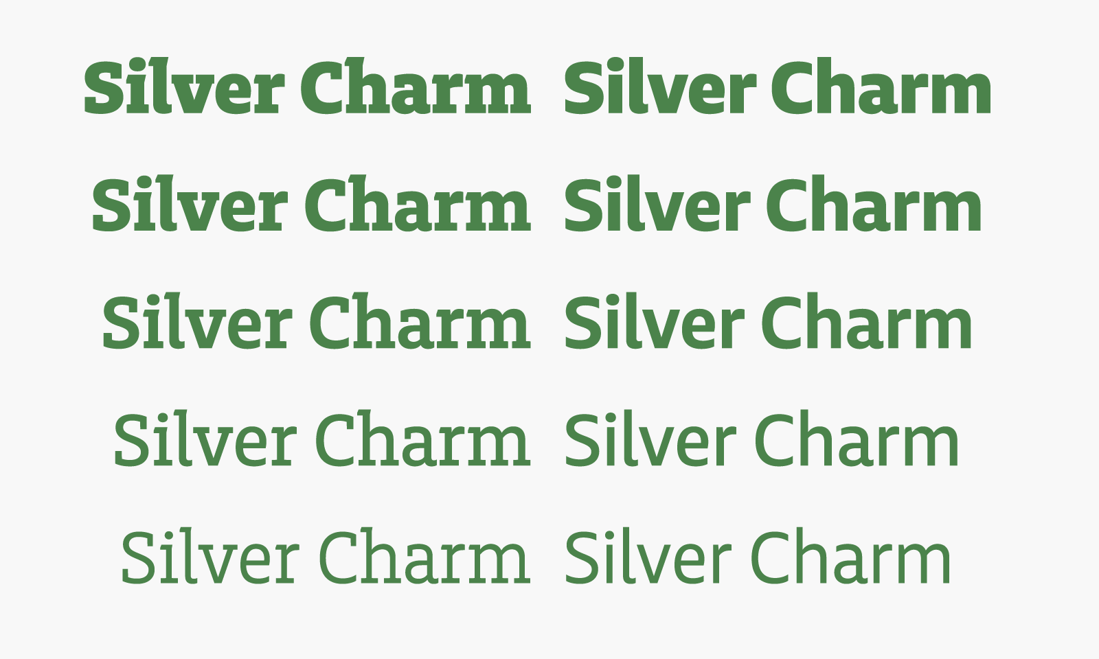 Charlie&Echo_Slides-14_1600X950.png
