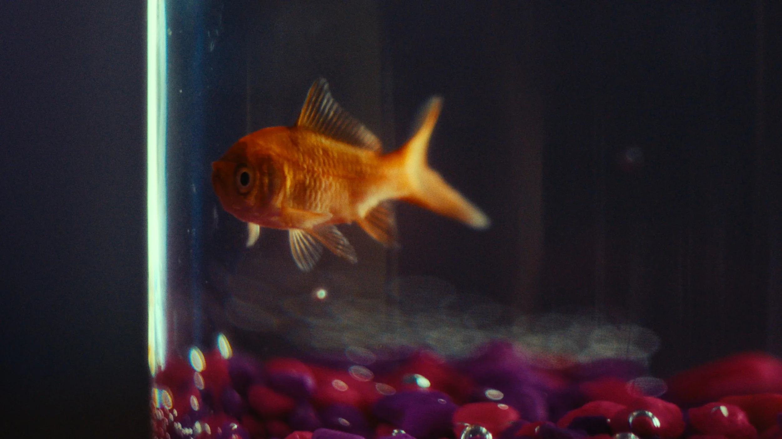 Untitled_1.5.2.T 2.JPG