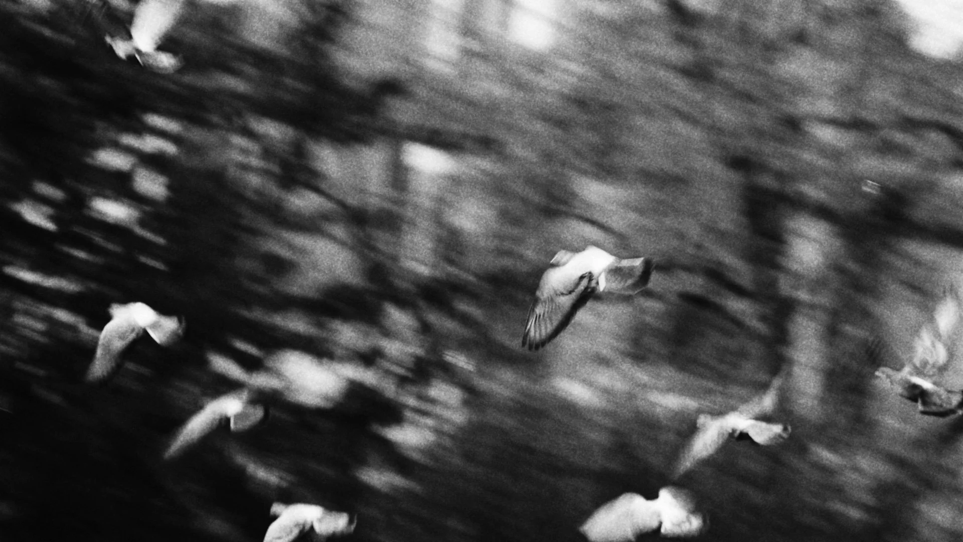 Adidas Screengrabs_2.2.1.jpg