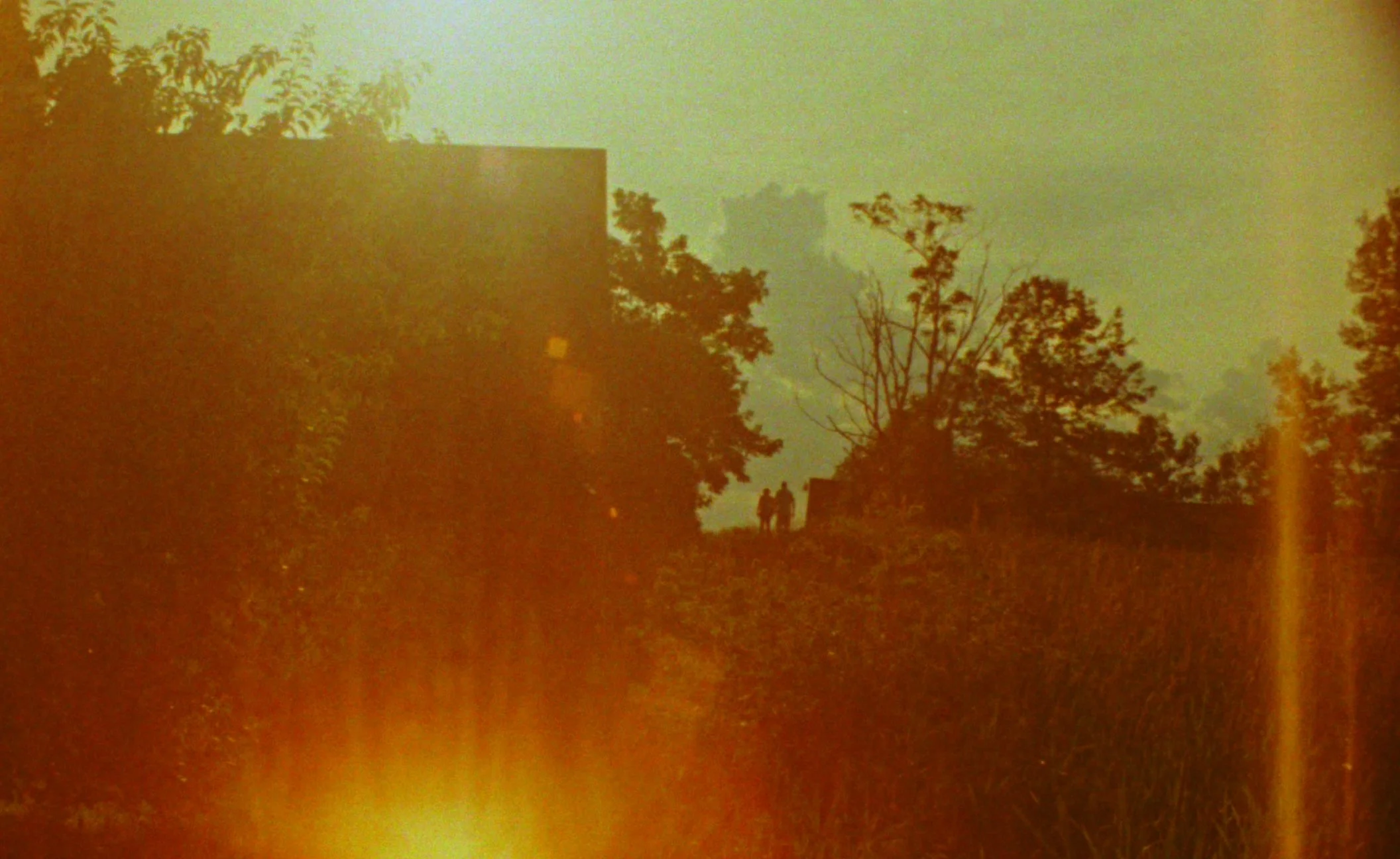 Untitled_1.14.54.JPG