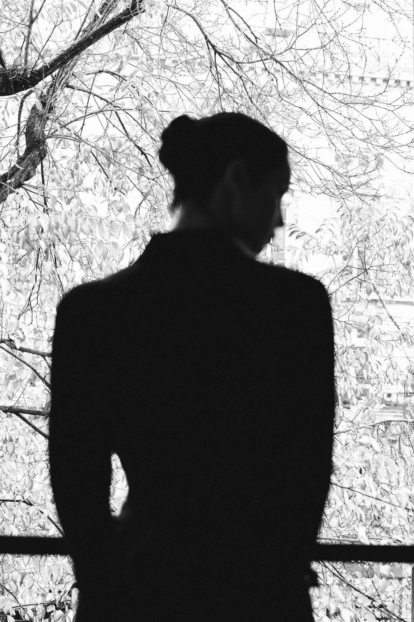 Henrique Penha · Haussmannien · Paris 0165.jpg