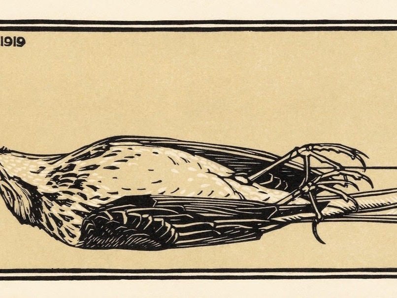 Death by Complaint: An Analysis of Bureaucracy through Monty Python's Dead  Parrot Sketch — Gadfly