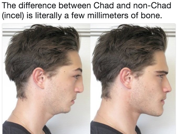 Seeking the Chad: Visions of Male Beauty in the Incel Wiki — Gadfly