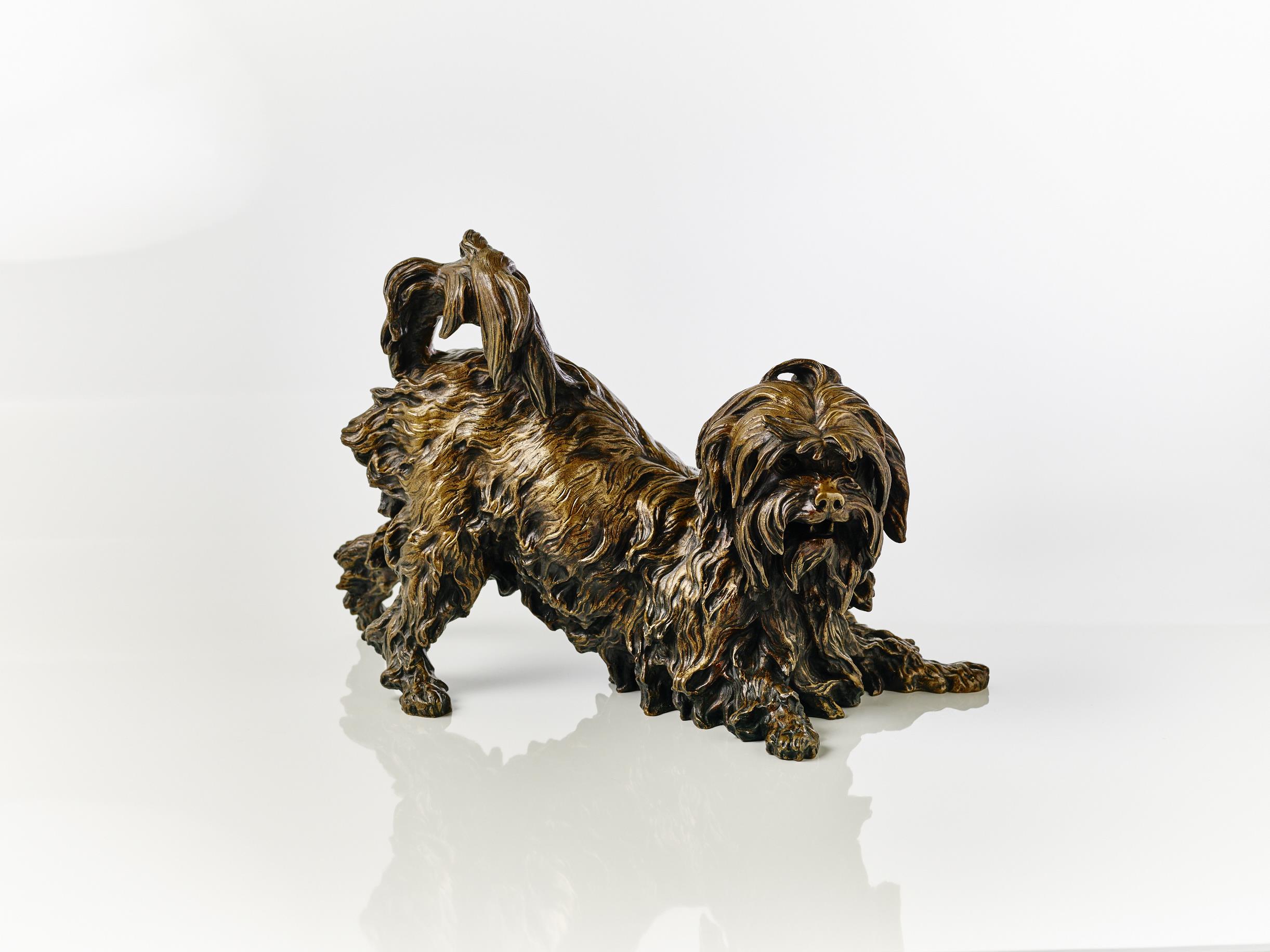 Chien Maltais, by Giovita Lombardi, Italian (1837-1876)