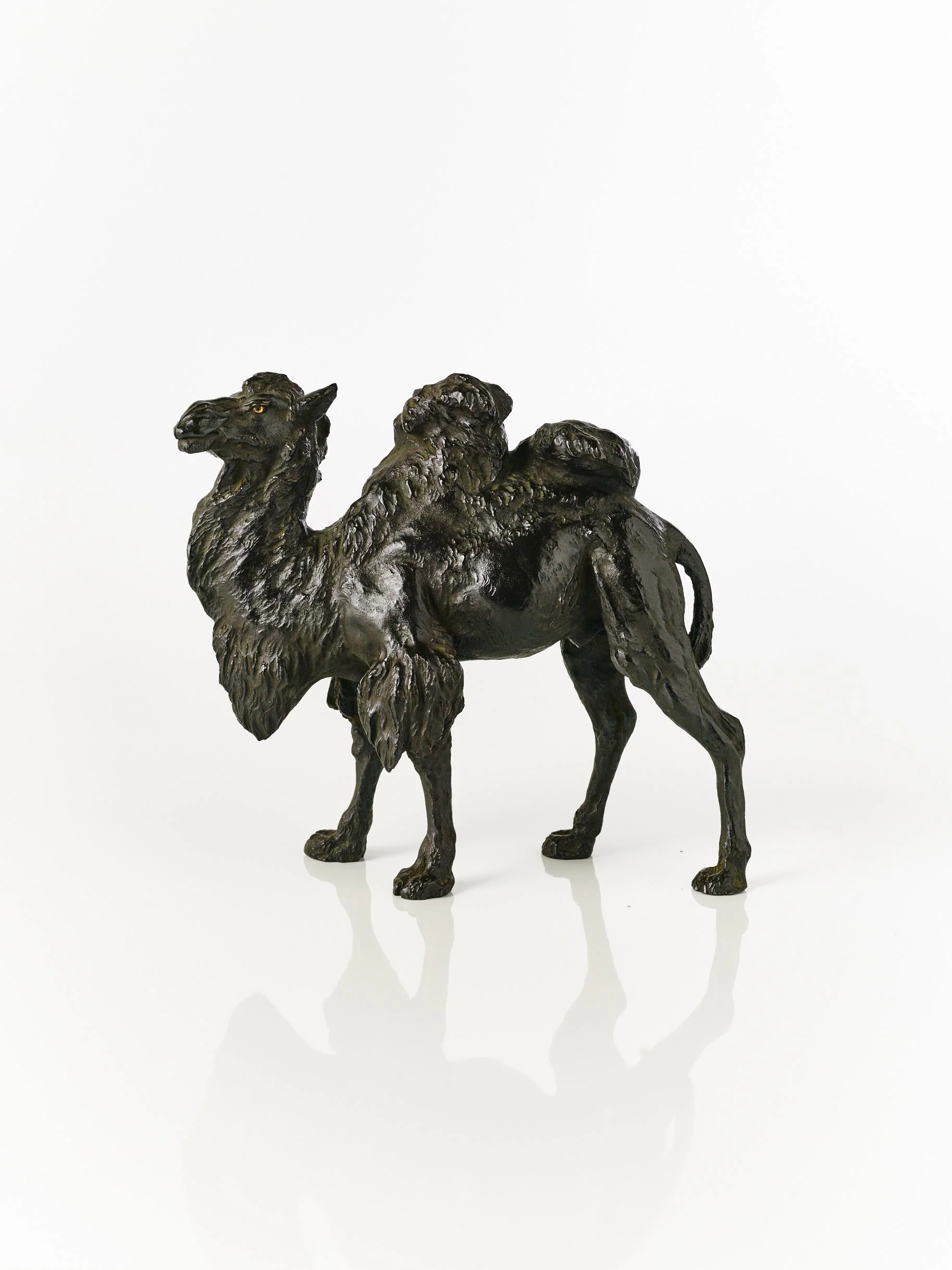 A Meiji period bronze Camel