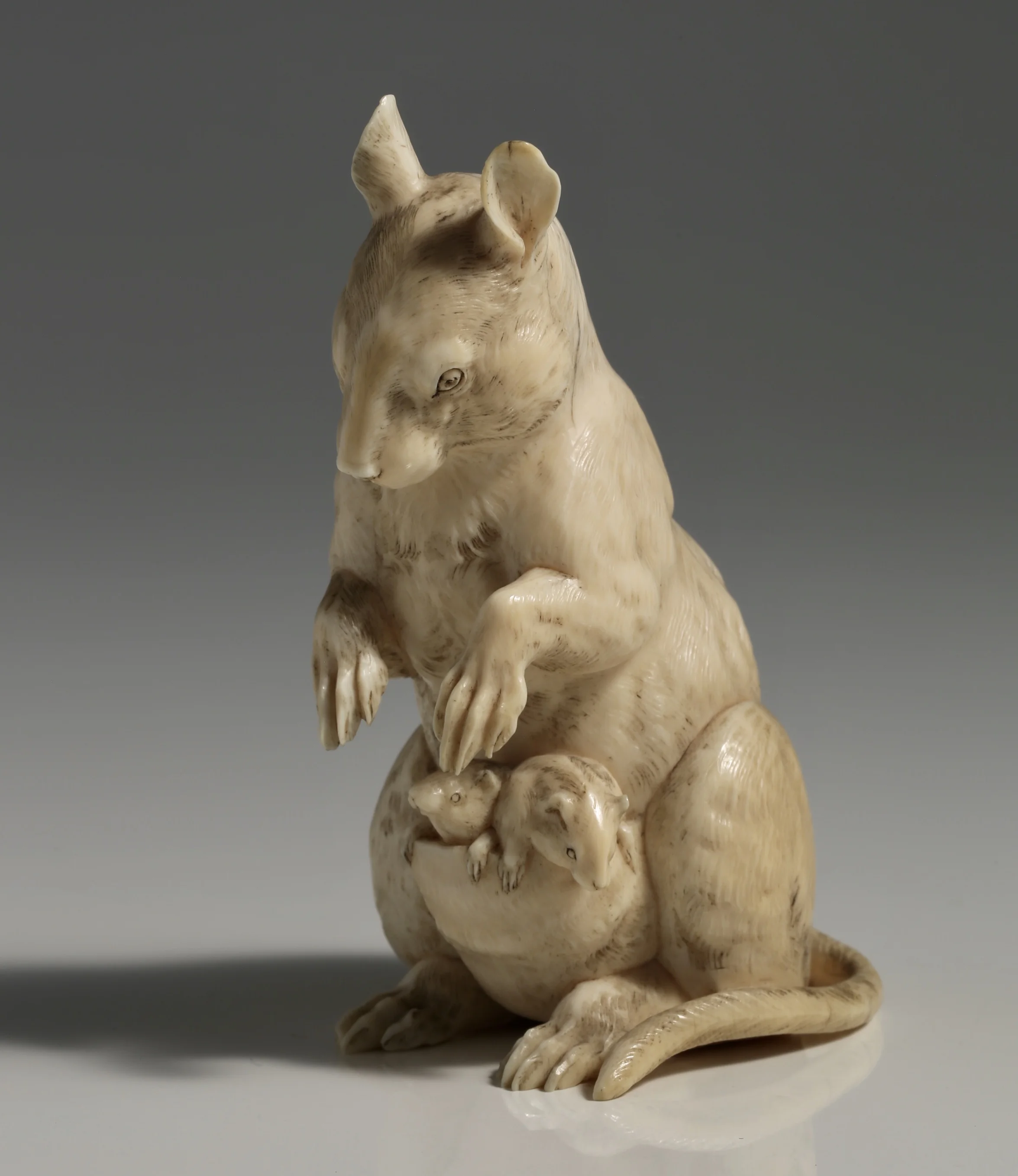 Meiji ivory marsupial