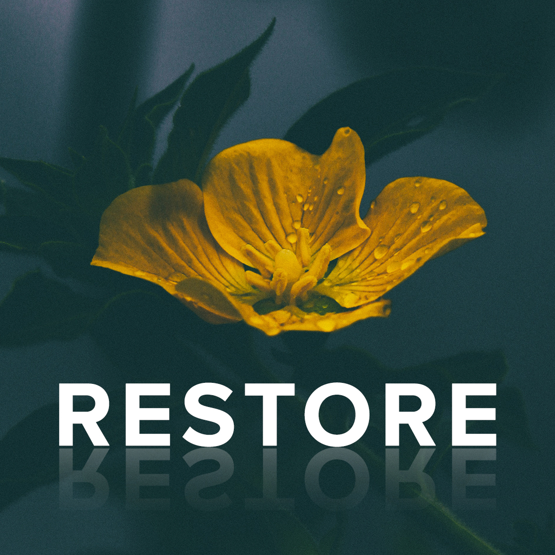Women's "Restore" Worship & Prayer Night