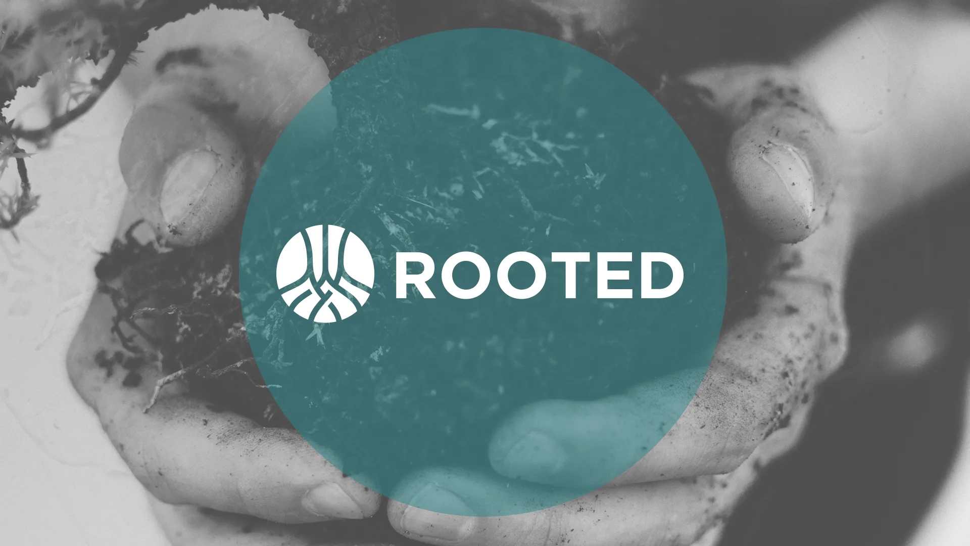 Rooted
