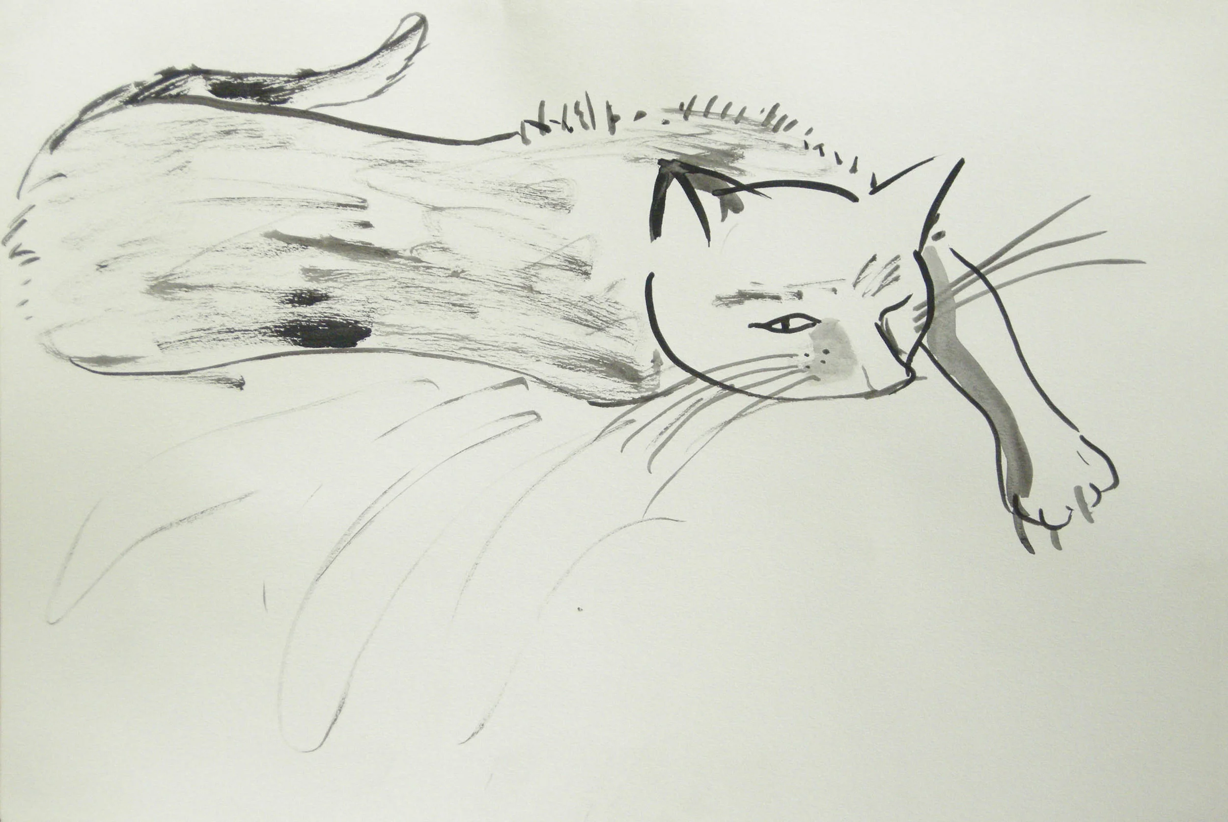 KEEPING AN EYE OUT Brush and Ink on Paper | 2006