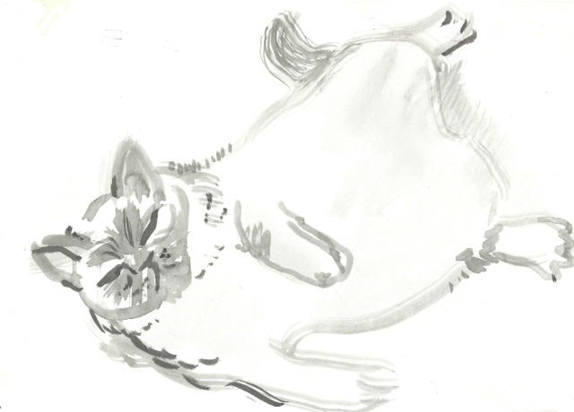 DAISY Brush and Ink | 2015 Available