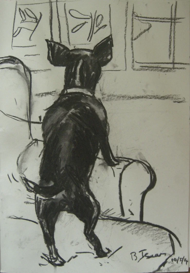 SNOOPY DOG Charcoal on Paper | 30 x 42 cm | 2014 (commission) UK