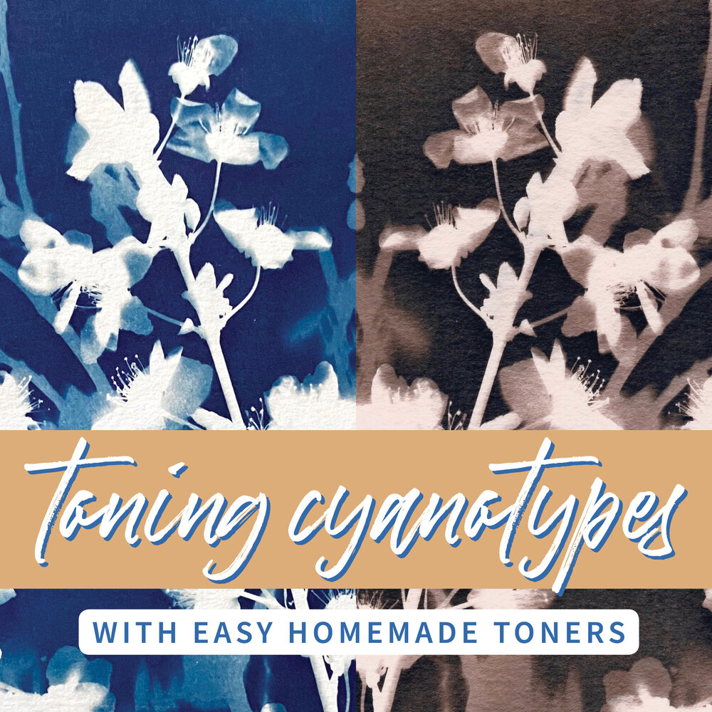 Intro to Cyanotype Printing & Toning with Botanicals (February