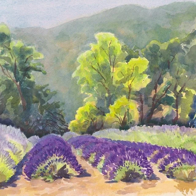 Lavender Fields med.jpeg