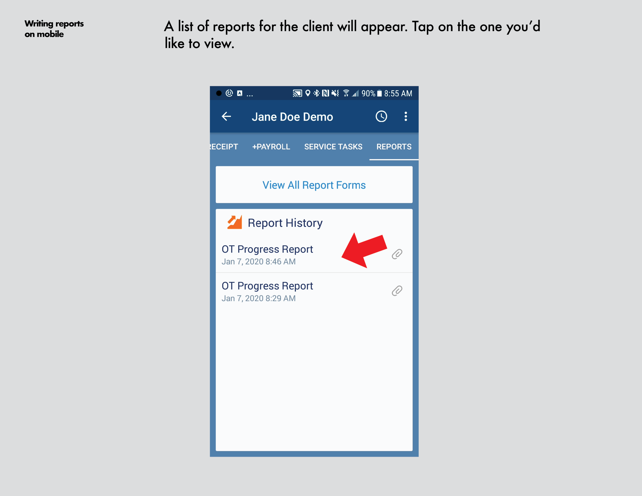 reports_on_smartphone22.png