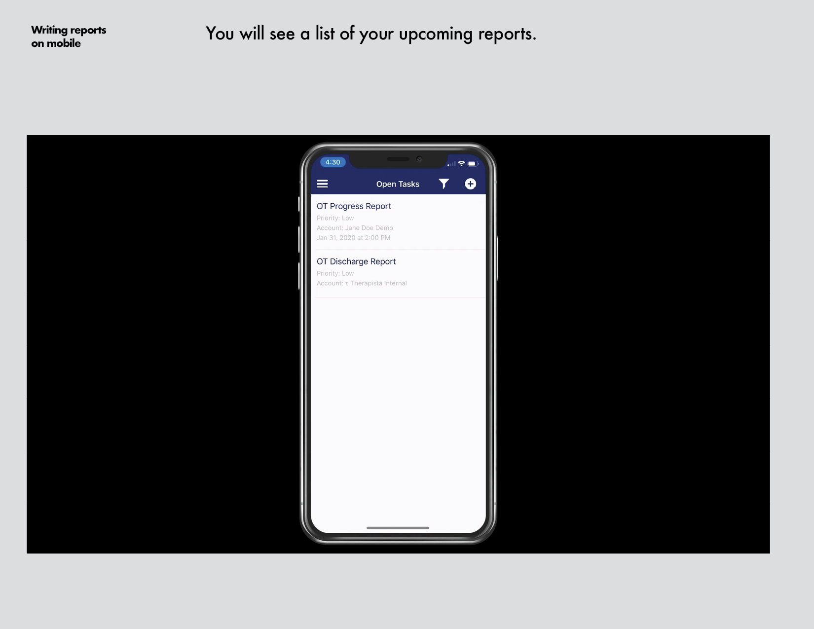 reports_on_smartphone-iOS6.png