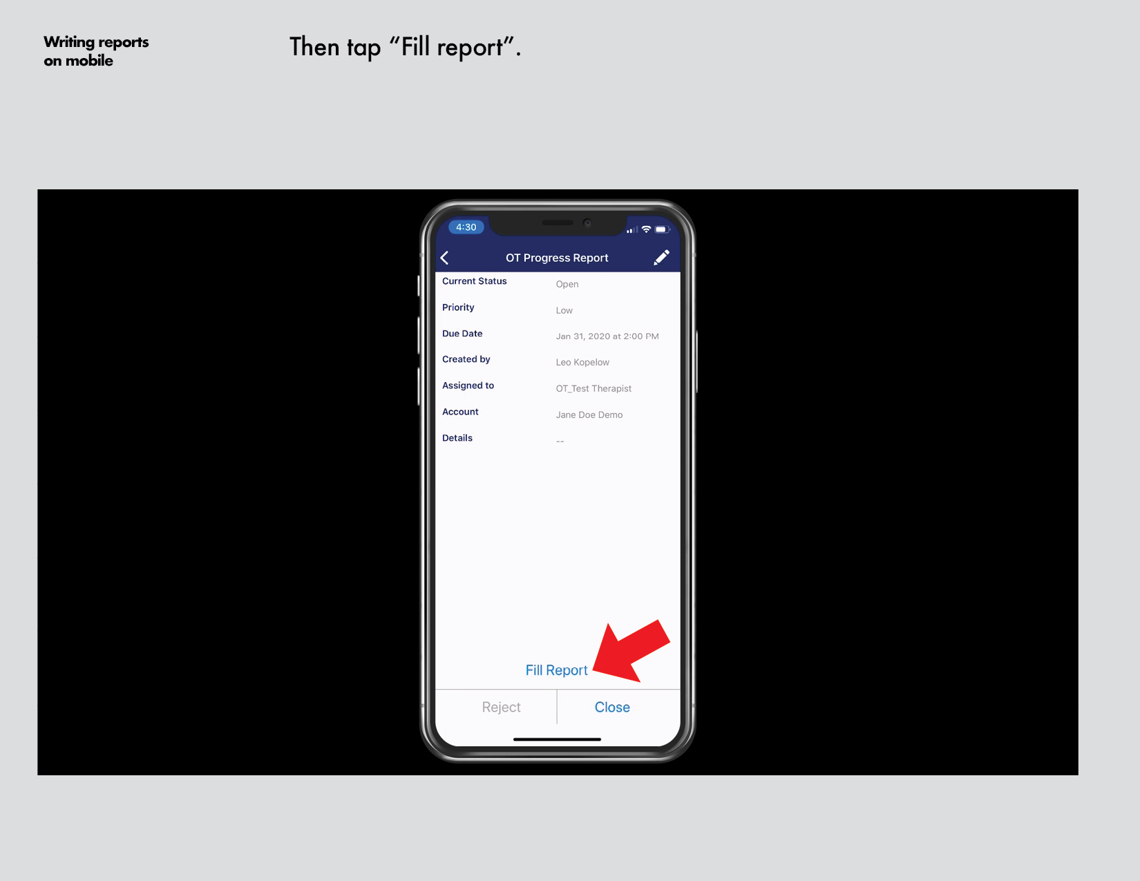 reports_on_smartphone-iOS8.png