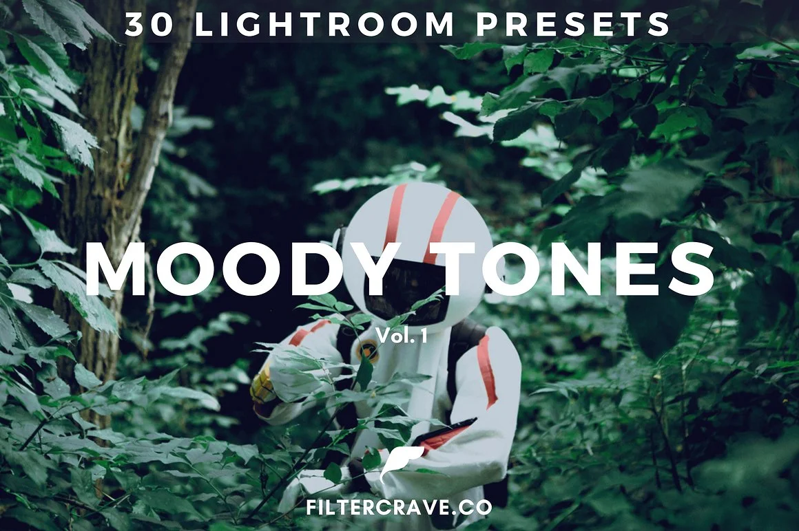 moody-tones-lightroom-presets-bundle-filtercrave-.jpeg